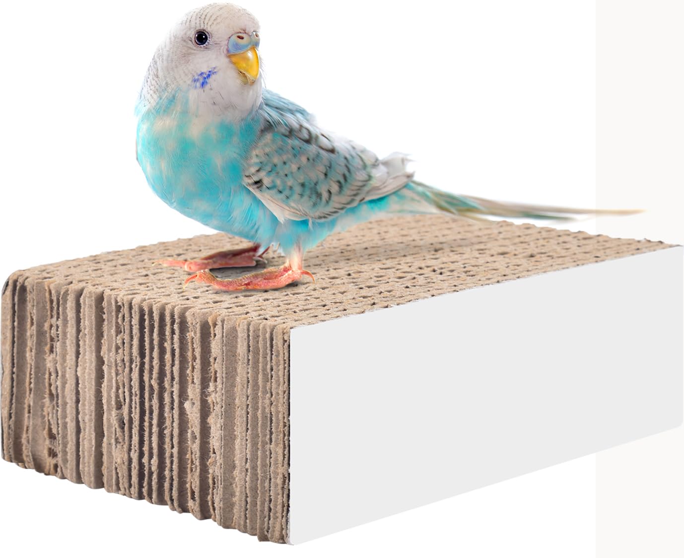 Katumo Conure Toys, 4.7 Inch Cockatiel Foraging Shredder Chewing Toys Parakeet Perch Stand Bird Cage Assessory For Lovebird Parr