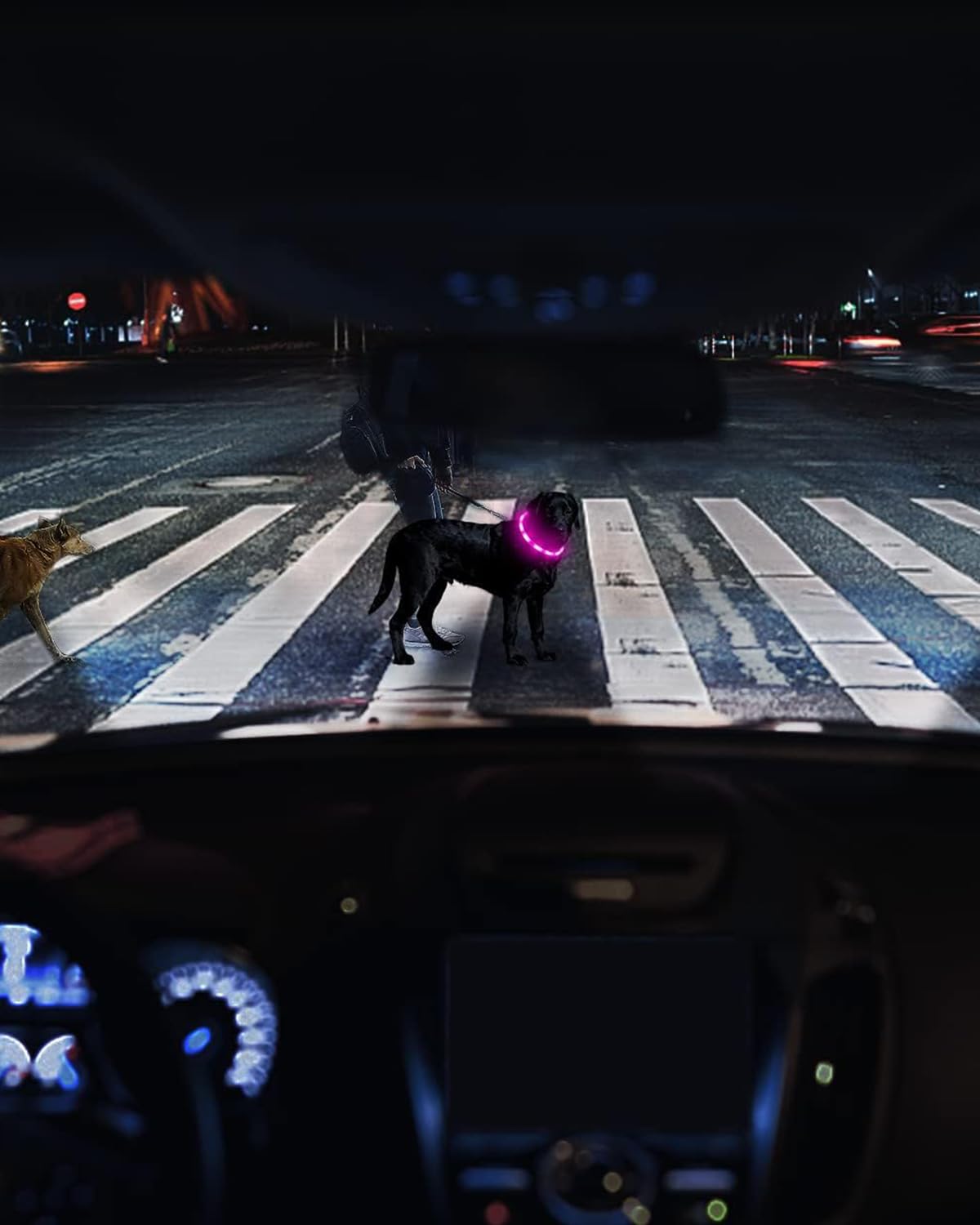 Joytale Light Up Dog Collar, Rechargeable Rainproof Led Collar For Night Walking Safety, Soft Silicone Glow In The Dark, Suitabl