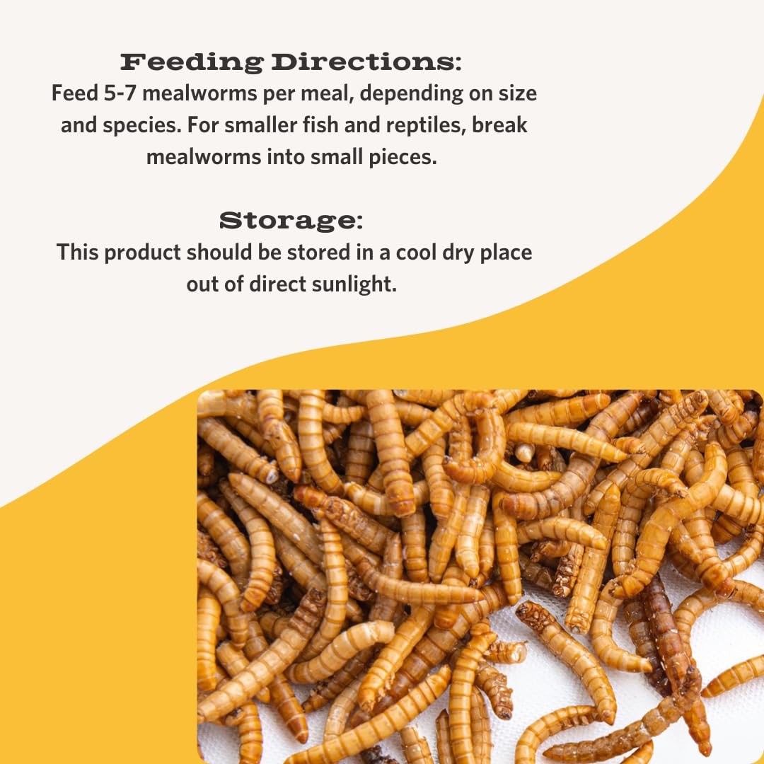Fluker's Freeze Dried Mealworms for Reptiles, Packed with Protein and Essential Nutrients, 1 lb. Value Pack