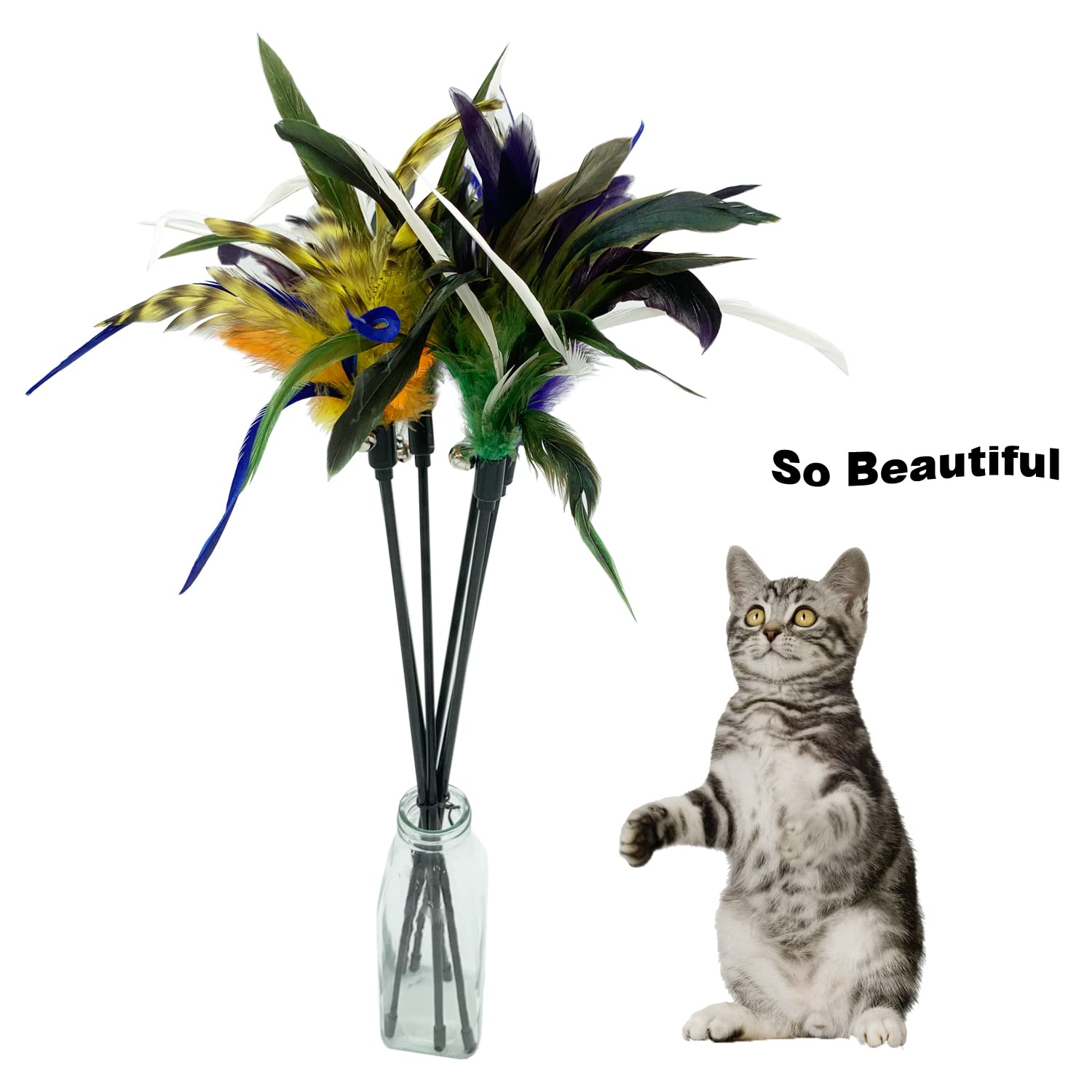 Cateness Cat Wand Toy Feather Stick Cat Toys, 6 Pieces Interactive Cat Toy Feathers Wand For Indoor Cats (C)