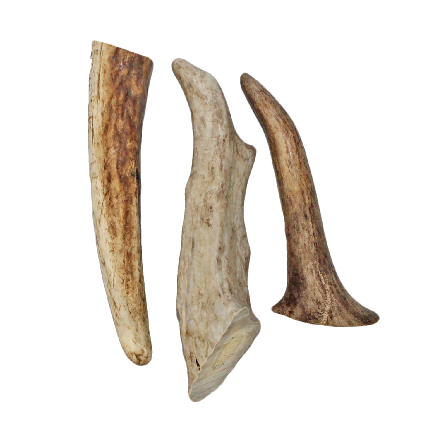 Exotic Nutrition Antler Chews - Safe Small Animal Chew - Natural Source Of Healthy Minerals - Chinchilla, Hamster, Degu, Prairie
