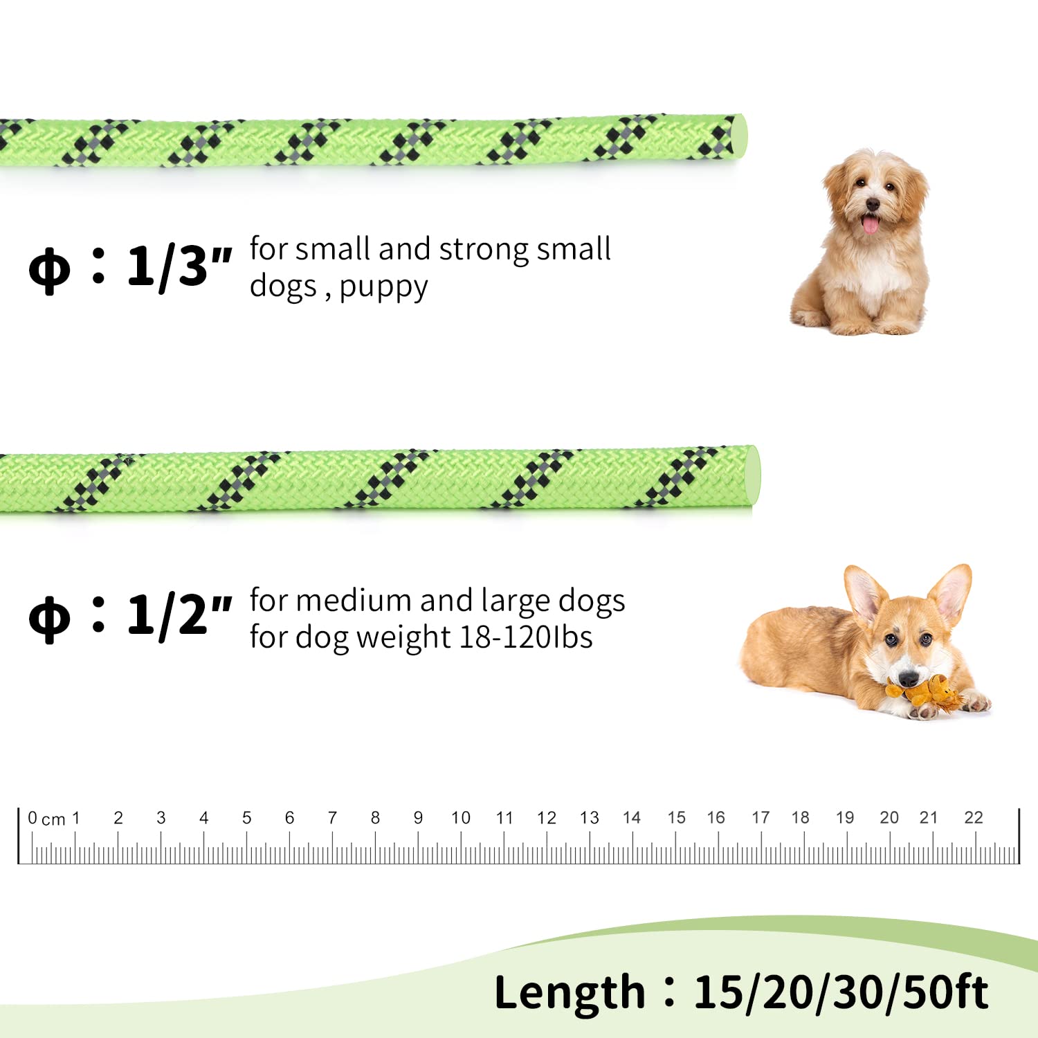 Hi Kiss Check Cord Large,Medium Small Dogs/Puppy Obedience Recall Training Agility Lead - 15Ft 20Ft 30Ft 50Ft Training Leash(Gre