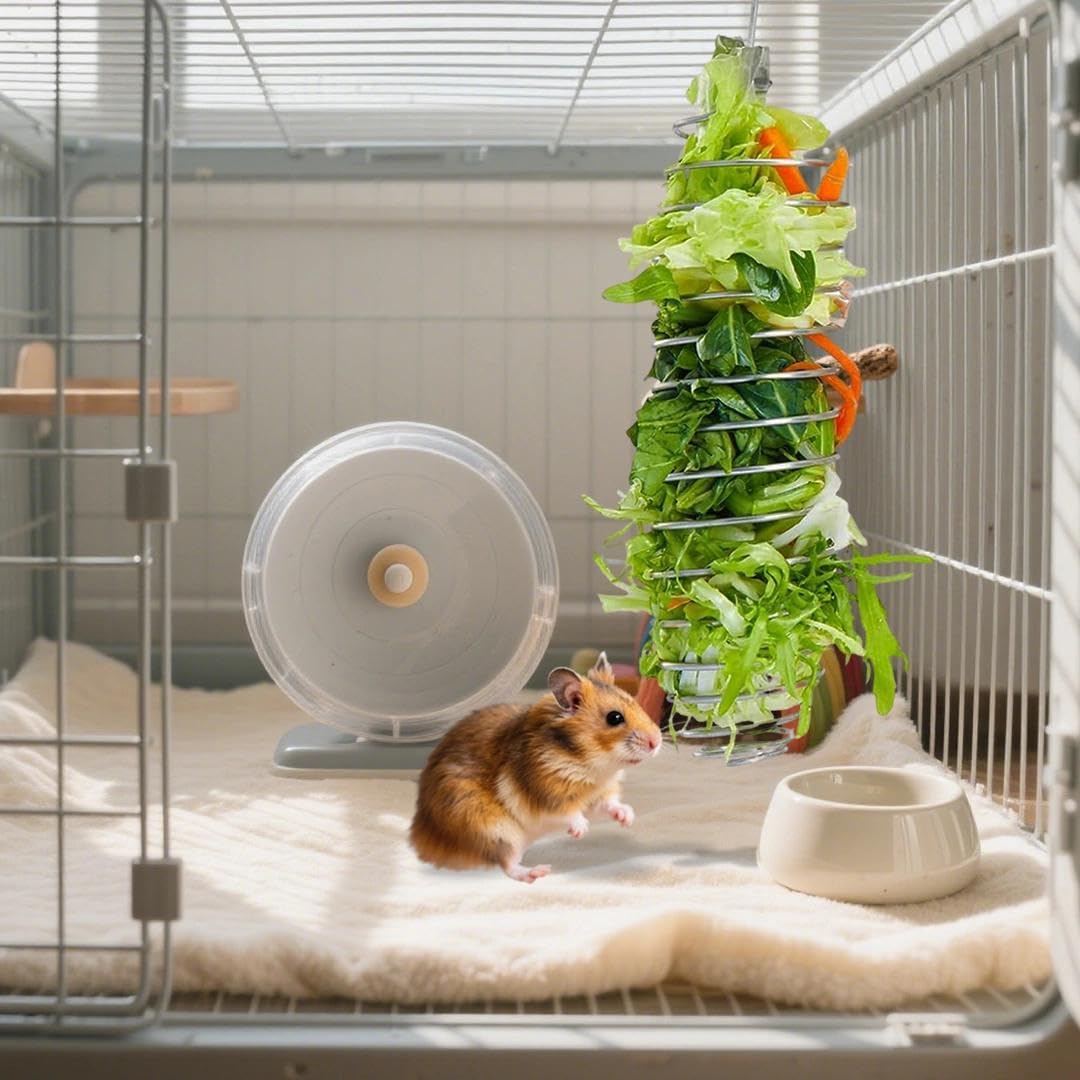 luchike 2Pcs Stainless Steel Rat Toys Rat Enrichment Toys Hamster Toy Hamster Cage Accessories Fancy Mice Cage Accessories Puzzl
