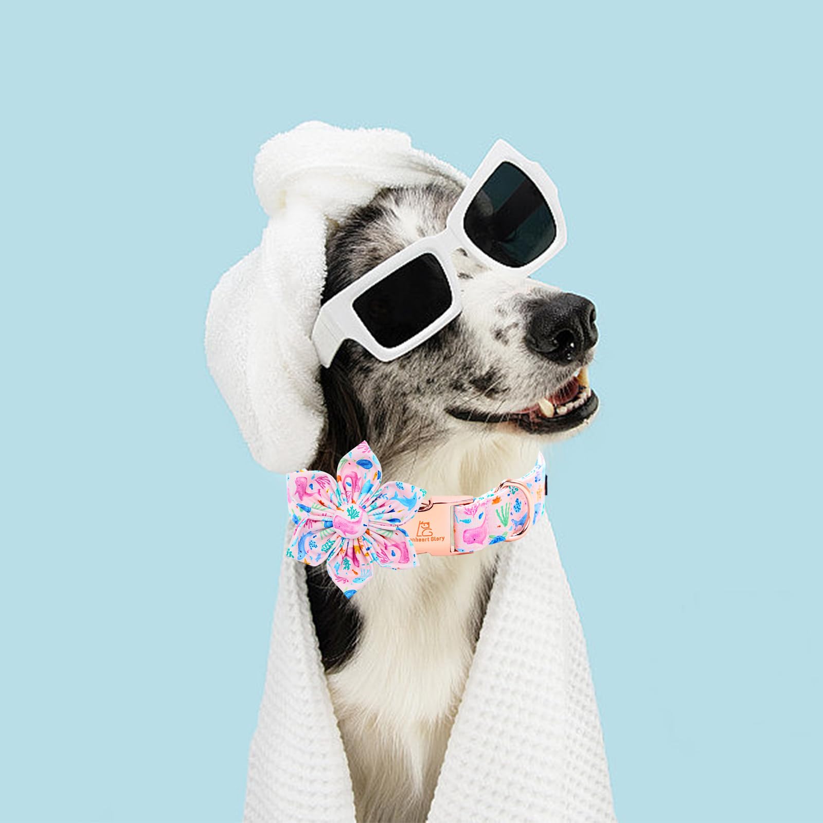 Lionheart Glory Dog Collar Flower Collar Pink Dog Collars With Flower Summer Cute Sea Animals Print Collar Dog Female Soft Durab