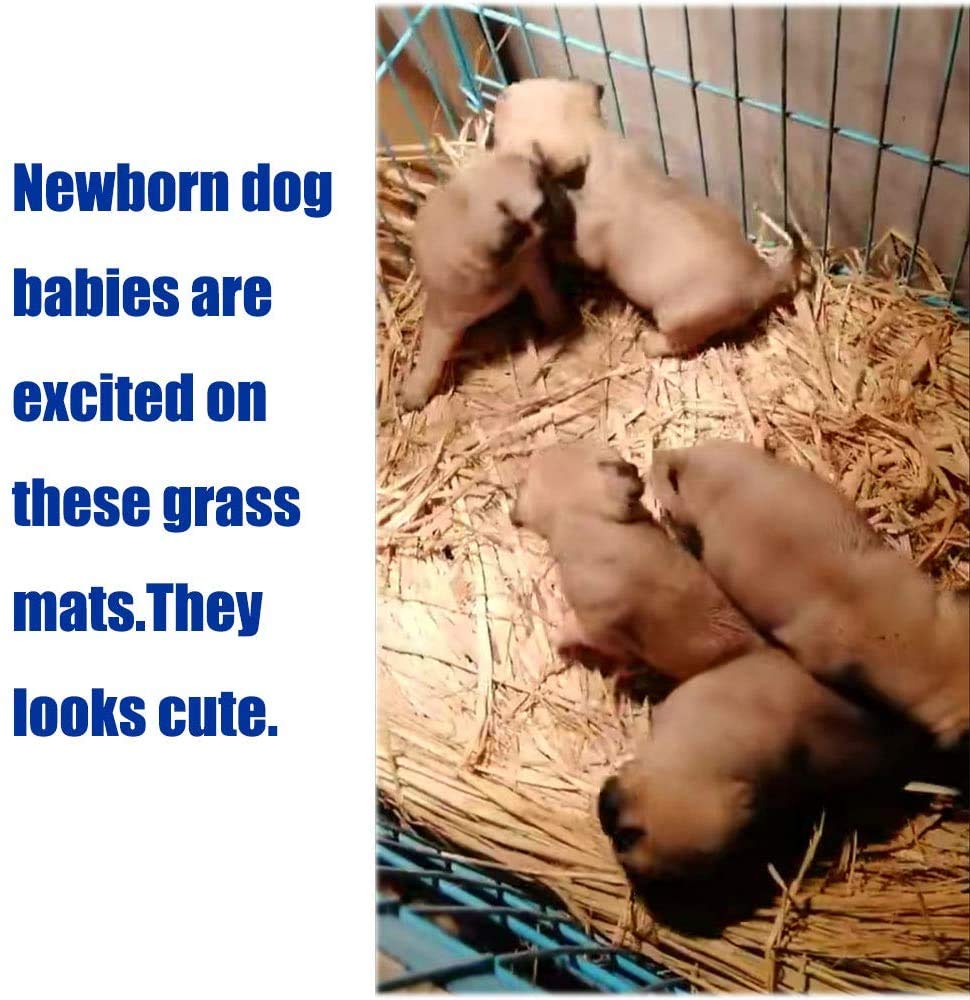 Hamiledyi 8PCS Grass Mat for Rabbits, Guinea Pigs, Hamsters & Small Pets - Chew Toy Bed Mat, Natural Woven Bedding