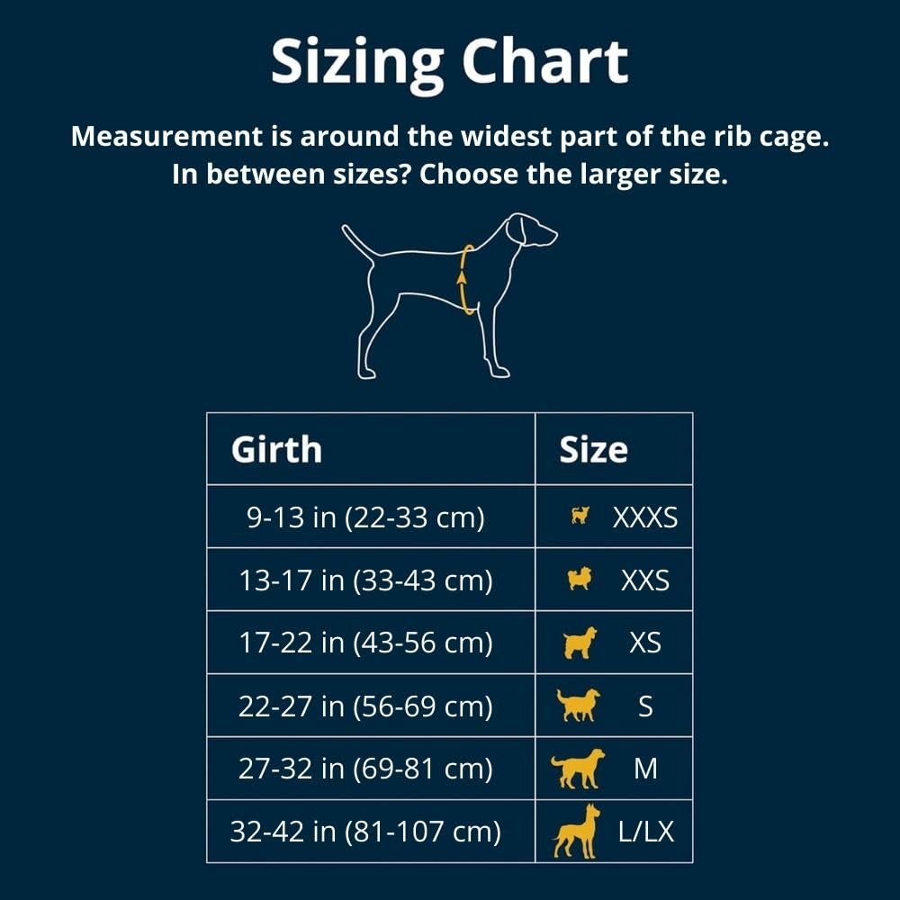 Ruffwear, Hi & Light, Everyday Lightweight Dog Harness, Trail Running, Walking, Hiking, All-Day Wear, Sage Green, X-Small