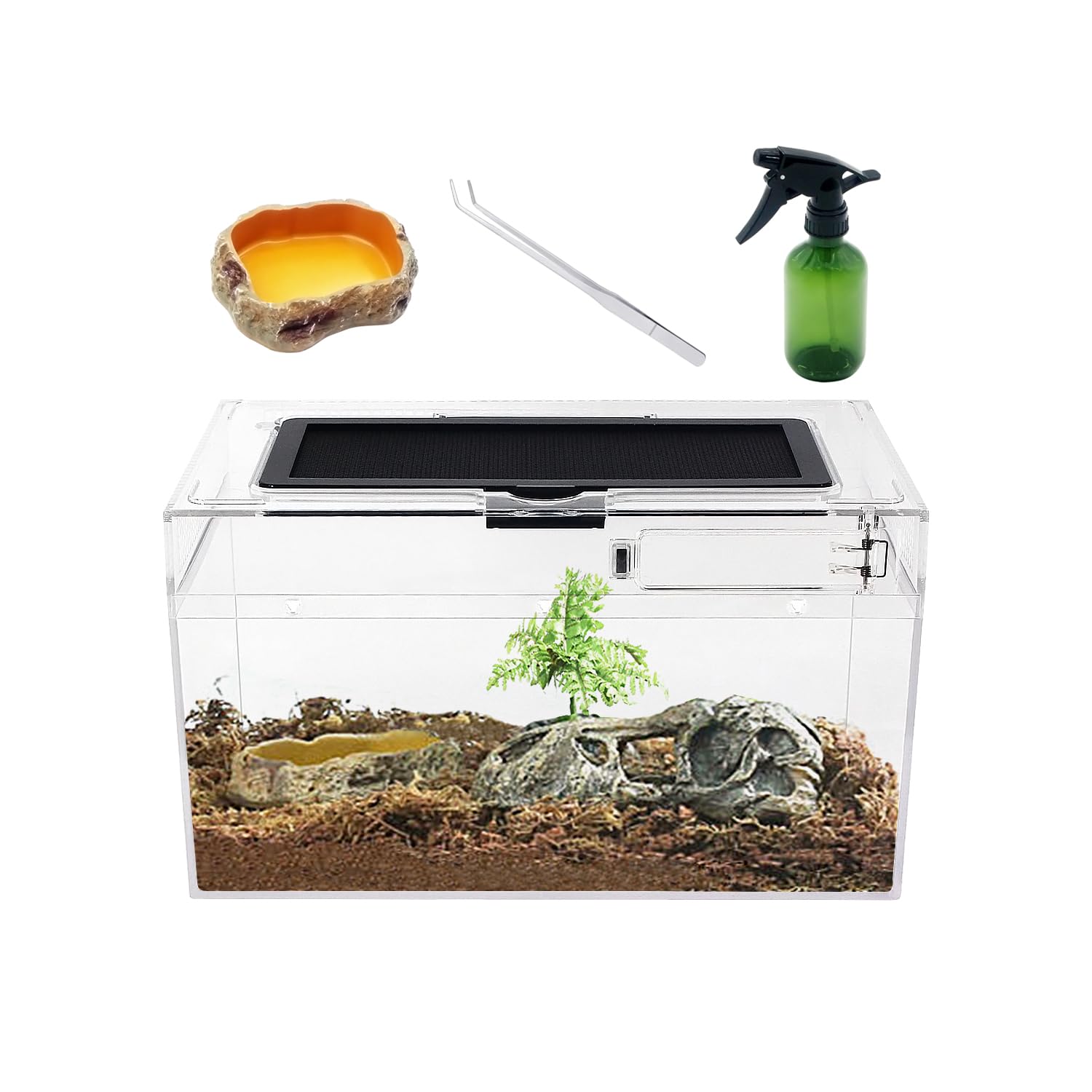 Mini Reptile Terrarium Set,12'' X 7''X 6'' Low Reptile Tank With Full View Visually Appealing,For Insect,Fish,Tarantula,Hermit C