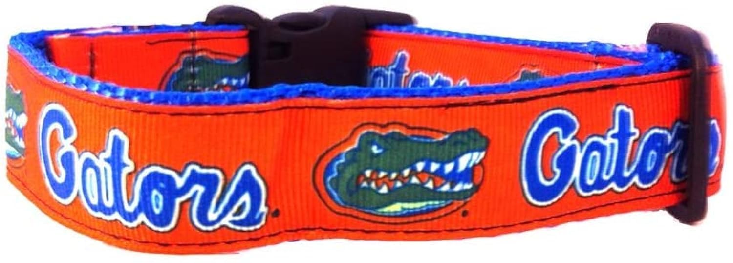 College Dog Collar (Large, Florida)