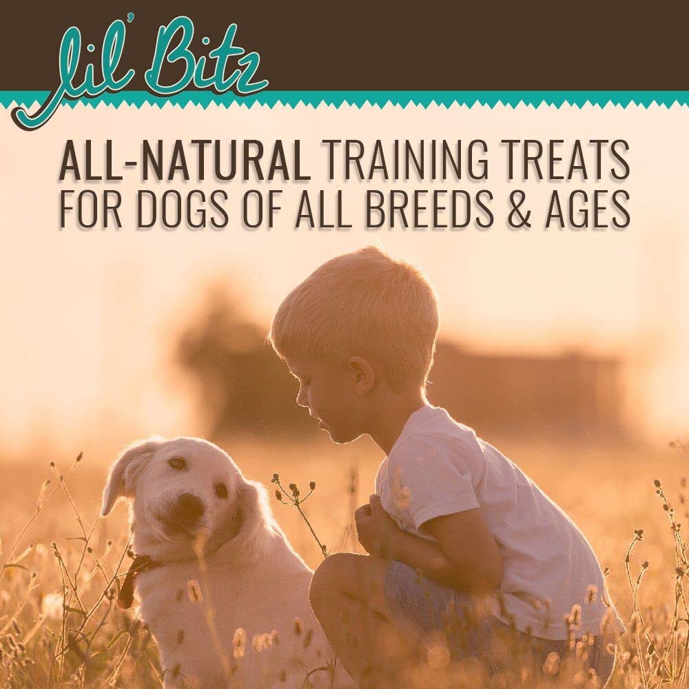 Lil Bitz Training Treats for Dogs and Cats (1 Pack, All Dog Sizes - Wild Salmon + Kelp)