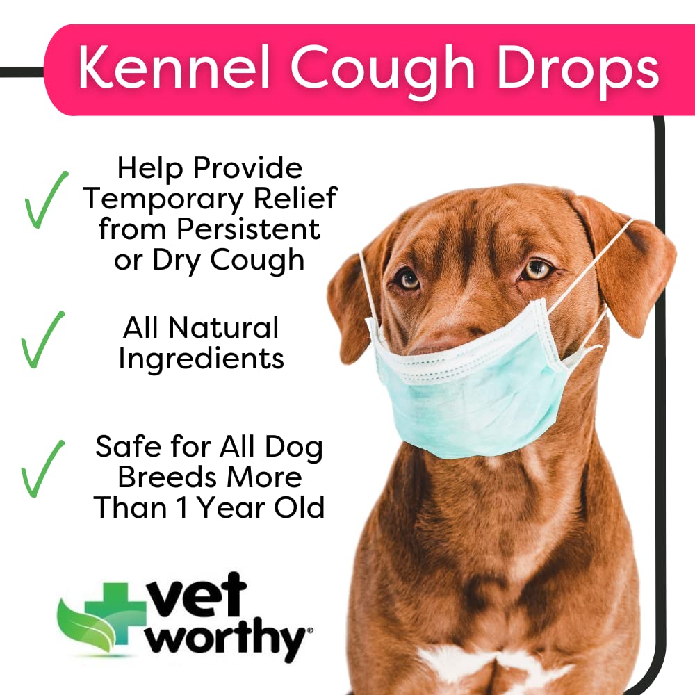 Vet Worthy Kennel Cough Drops for Dogs - Dog Supplement for Dry Kennel Cough Relief - Dog Cough Remedy with Drosera Rotundifolia