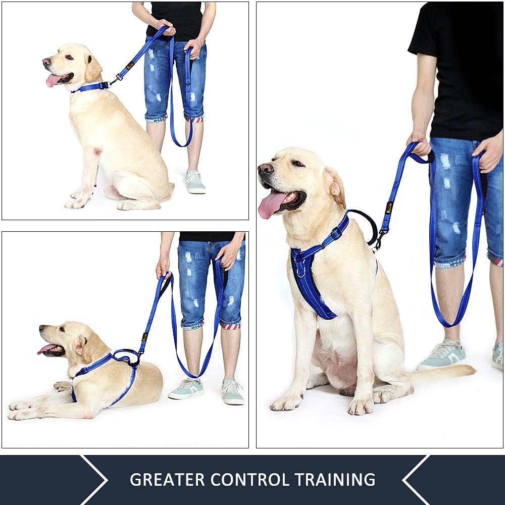 Plutus Pet Dog Leash 6Ft Long,Traffic Padded Two Handle,Heavy Duty,Reflective Double Handles Lead For Control Safety Training,Le