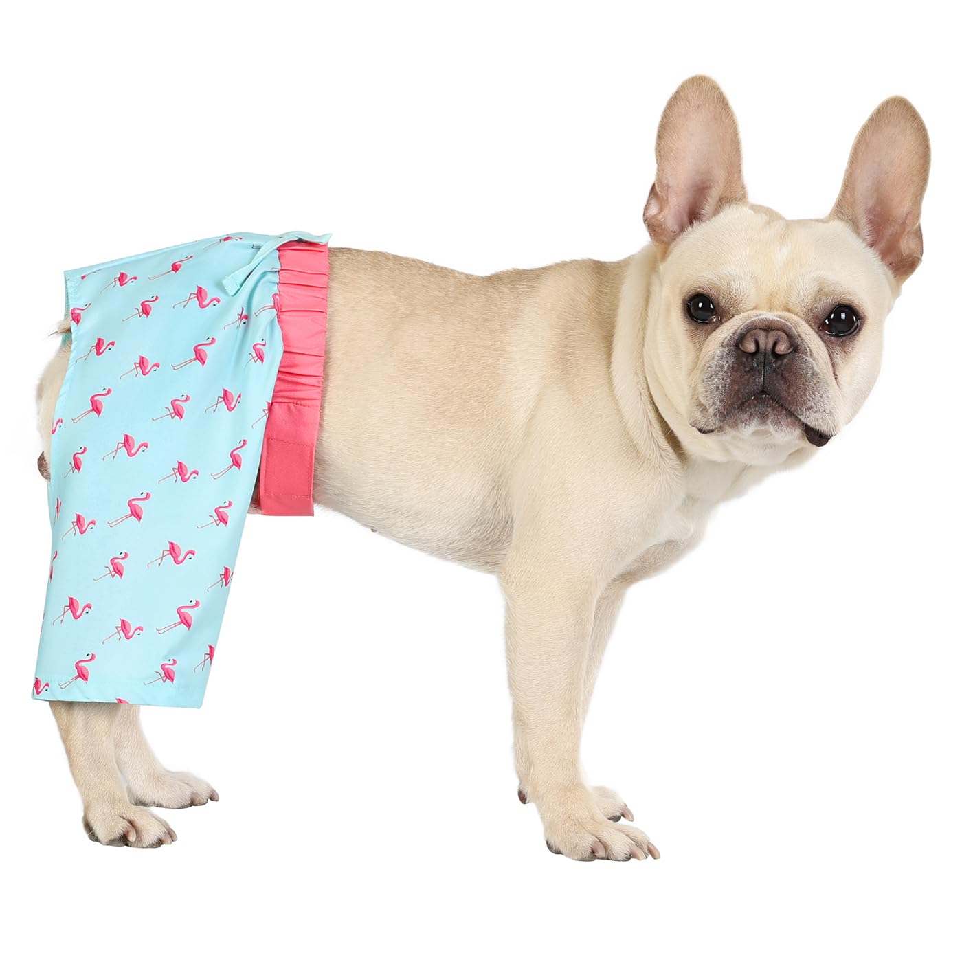 Hde Dog Swim Trunks Hawaiian Board Shorts Beach Pool Swimsuit For Xs To Xxl Dogs Party Like A Flock Star - Xs