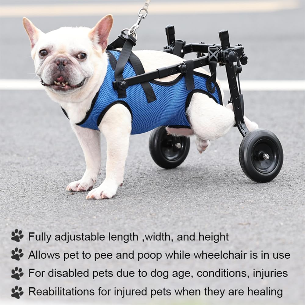 Adjustable Small Dog Wheelchair - Mobility Aid for Disabled Pets,Small Dog Wheelchair for Back Legs, Leg Brace & Hip Support (Mi