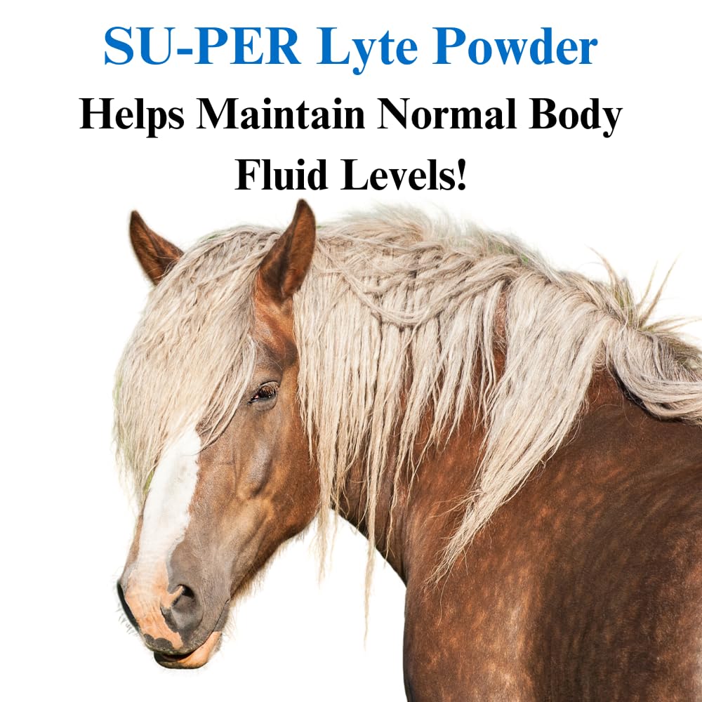 SU-PER Lyte Horse Electrolyte Supplement - Helps Maintain Normal Body Fluid Levels - Performance Horse Minerals & Electrolytes R
