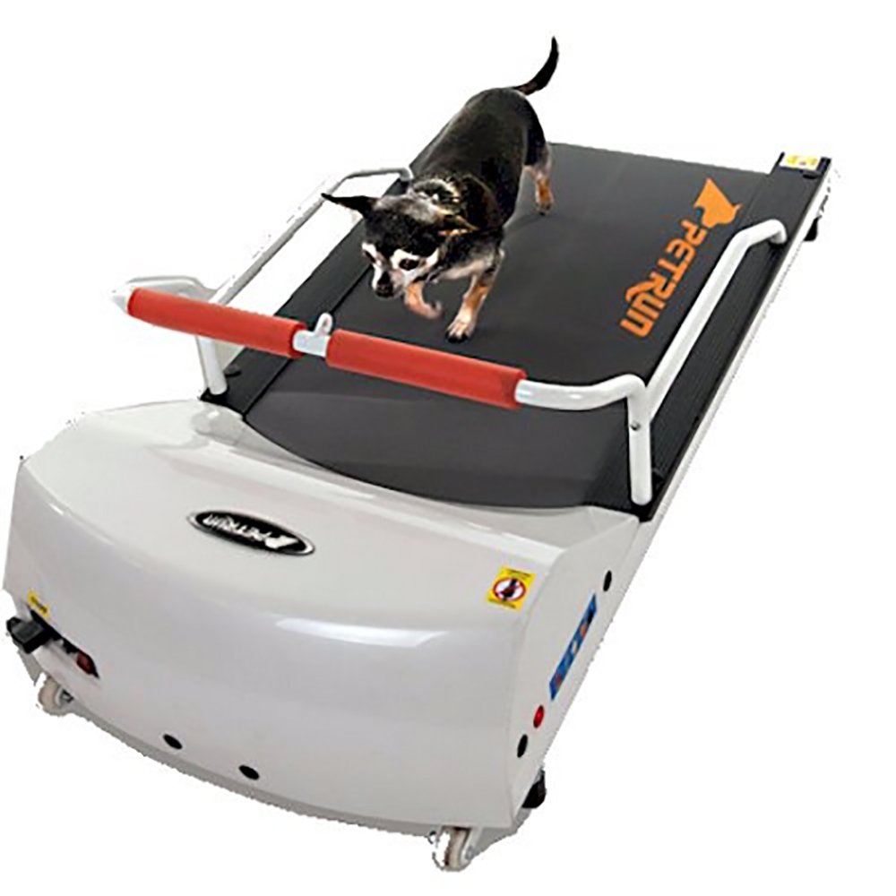 GoPet Petrun Pr700 Dog Treadmill Indoor Exercise/Fitness Kit - for Dogs Upto 44 Pounds