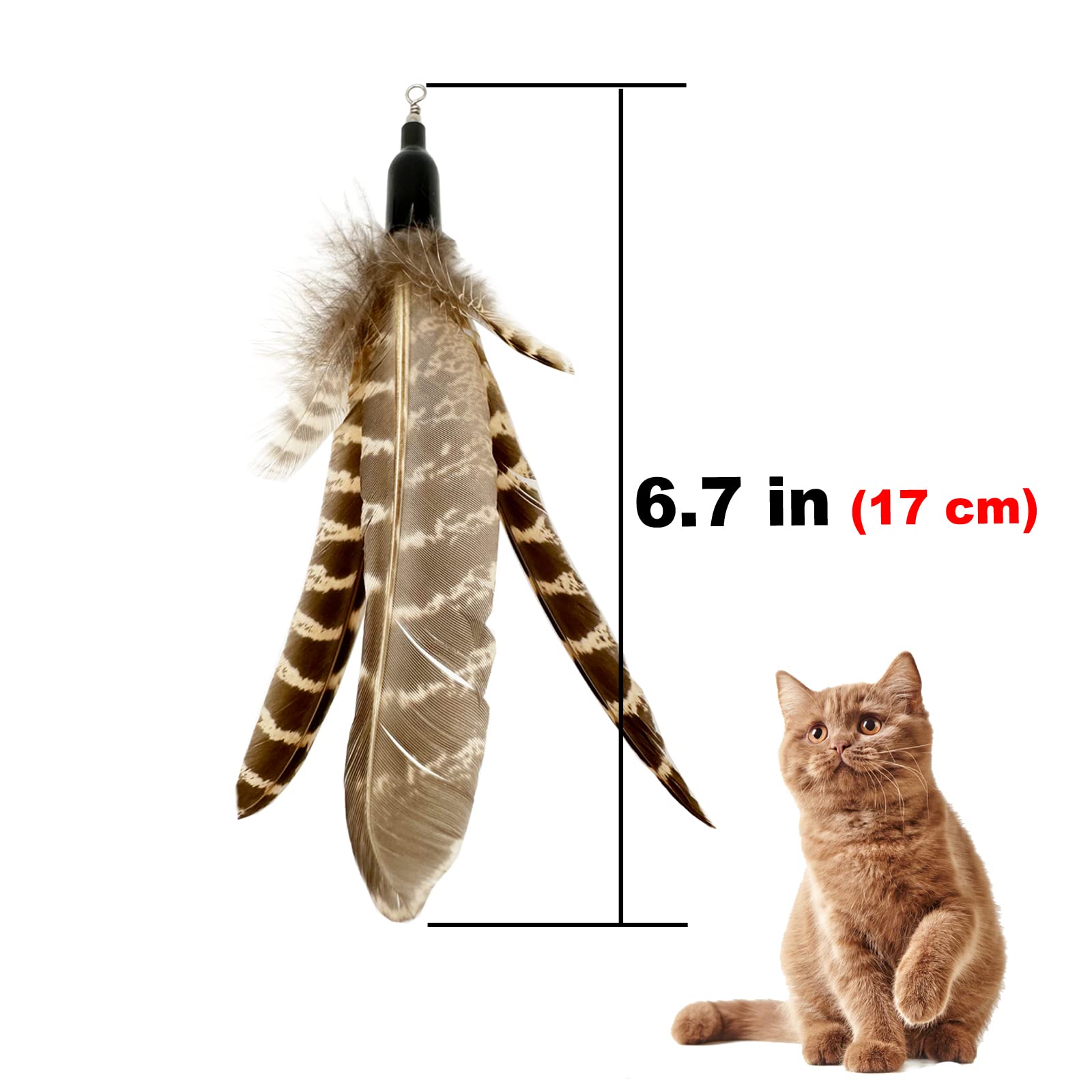 Tienailing Cat Feather Toys Refills, 6 Pieces Handmade Da Bird Feathers Refill, Cat Wand Replacement Feather For Indoor Cats (C)