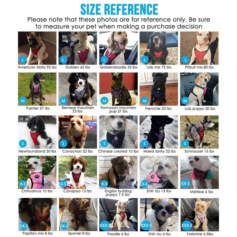 Slowton Dog Seat Belt Harness For Car, Dog Car Harness Adjustable Mesh Breathable & Dog Seatbelt Safety Tether With Elastic Bungee For Small Medium Large Pets(Orange, Double Clip, M)