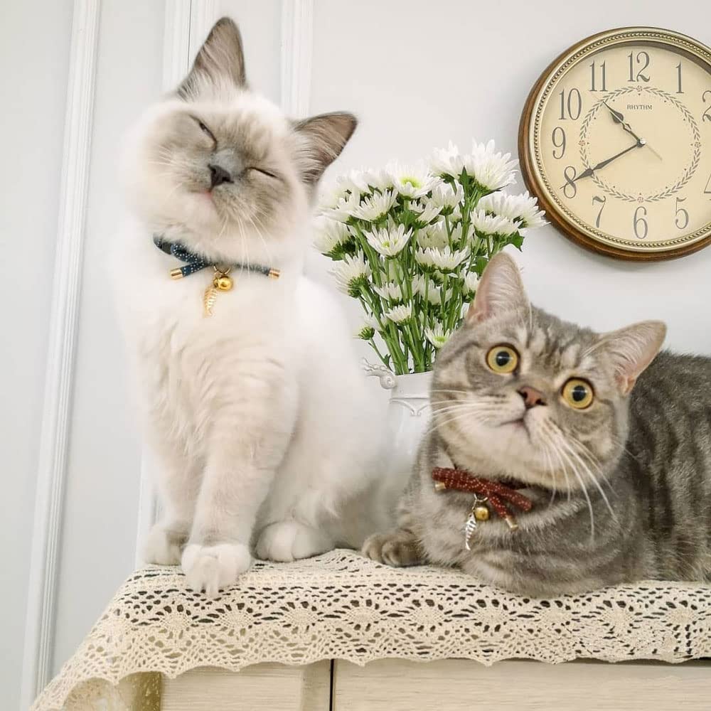 Petsokoo Cute Bowtie Cat Collar With Bell. Japanese Stylish Bowknot & Fish Charm. Safety Breakaway, Soft, Lightweight, For Girl Boy Male Female Cats Kitten,Green
