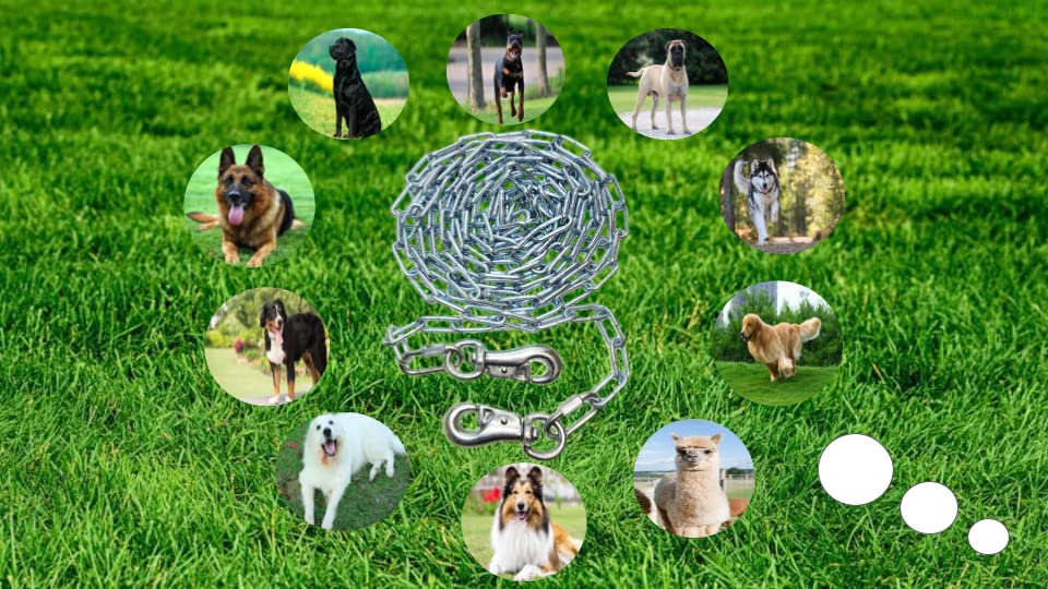 Heavy Duty Dog Runner Chain, Dog Tie Out, For Medium To Large Dogs, Weld Steel Chain, Dog Leash Chain, 520Lbs Capacity, For Dogs Up To 85Lbs (10Ft) Silver