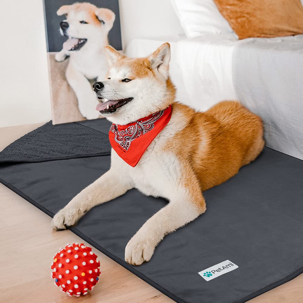 Petami Waterproof Dog Blanket For Small Medium Dogs, Pee Proof Pet Blanket Sherpa Fleece Couch Cover, Reversible Cat Throw Bed Sofa Protector, Soft Plush Washable Pad (Small 24X32, Gray)