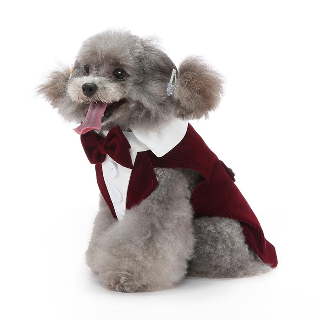 Doteyayp Puppy Velvet Tuxedo With Detachable Bowtie Prom Wedding Formal Wear Prince Costume For Small Dog (Large, Wine Red)