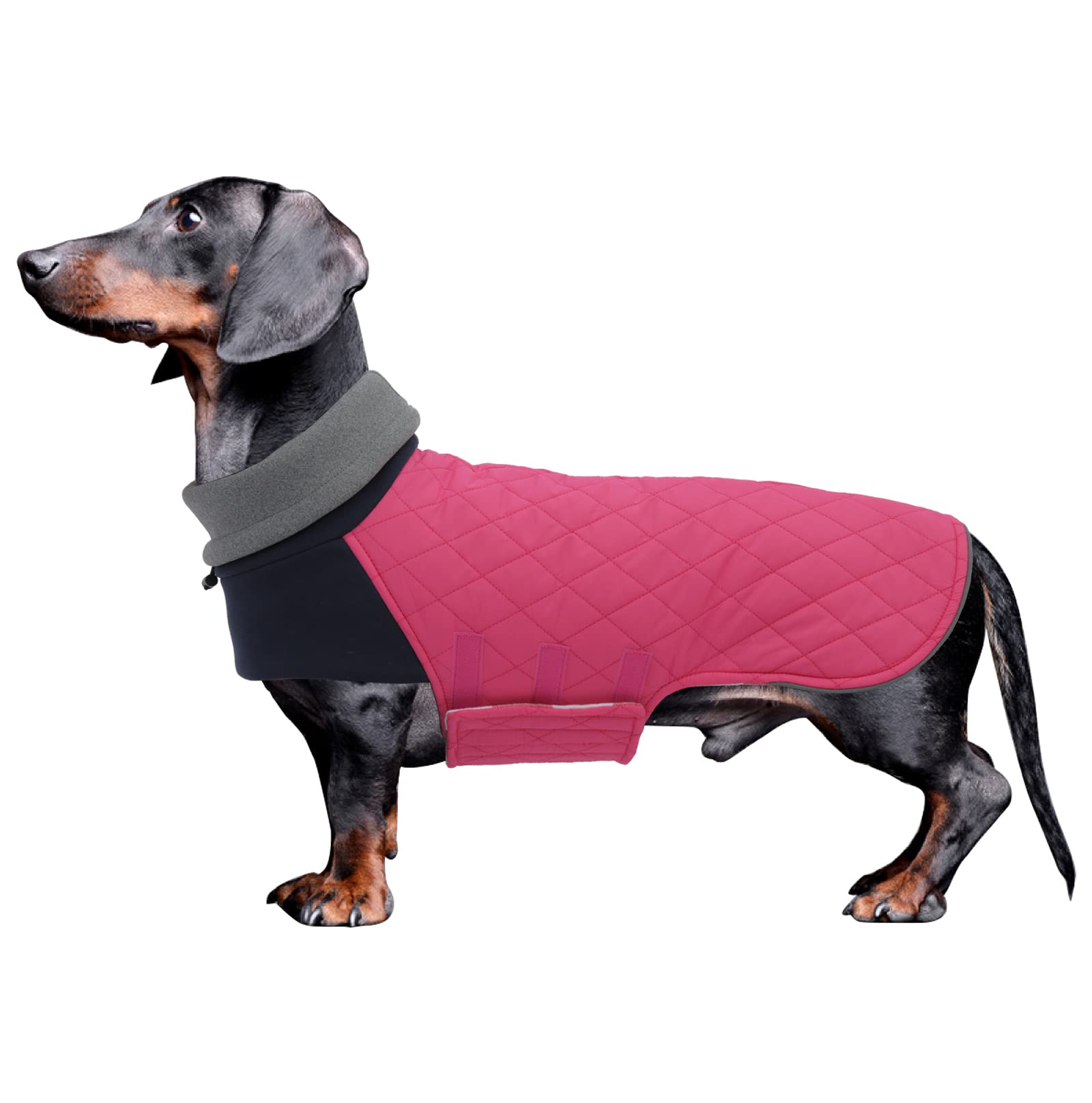 Geyecete Dachshund Coat,Dachshund Winter Coat,Warm Dachshund Coat Waterproof Windproof, High Neckine String Holes Miniature Dachshund Jacket For Small Dog-Pink-M