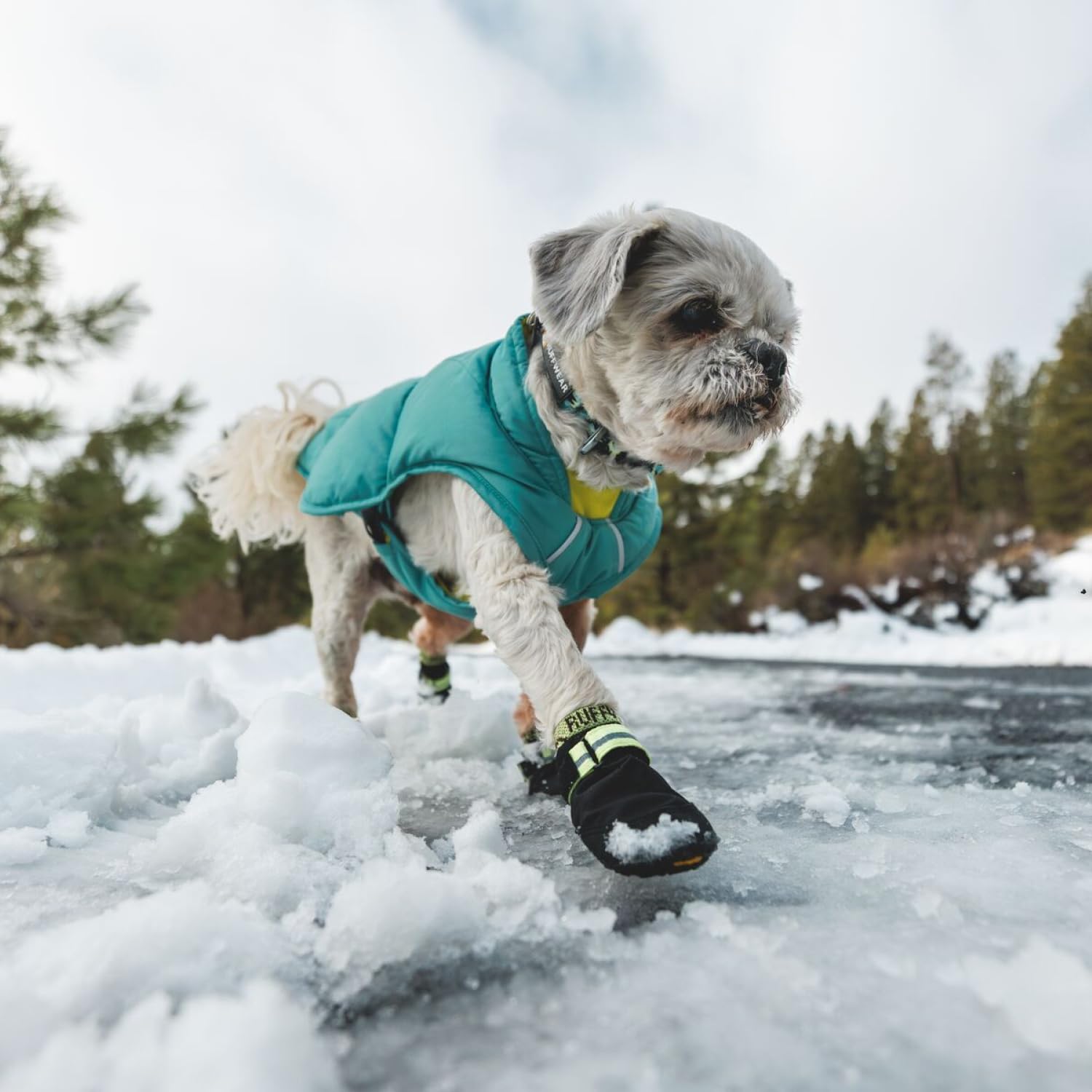 Ruffwear, Summit Trex Shoes, Dog Boots For Everyday Use, Obsidian Black, 2.50''