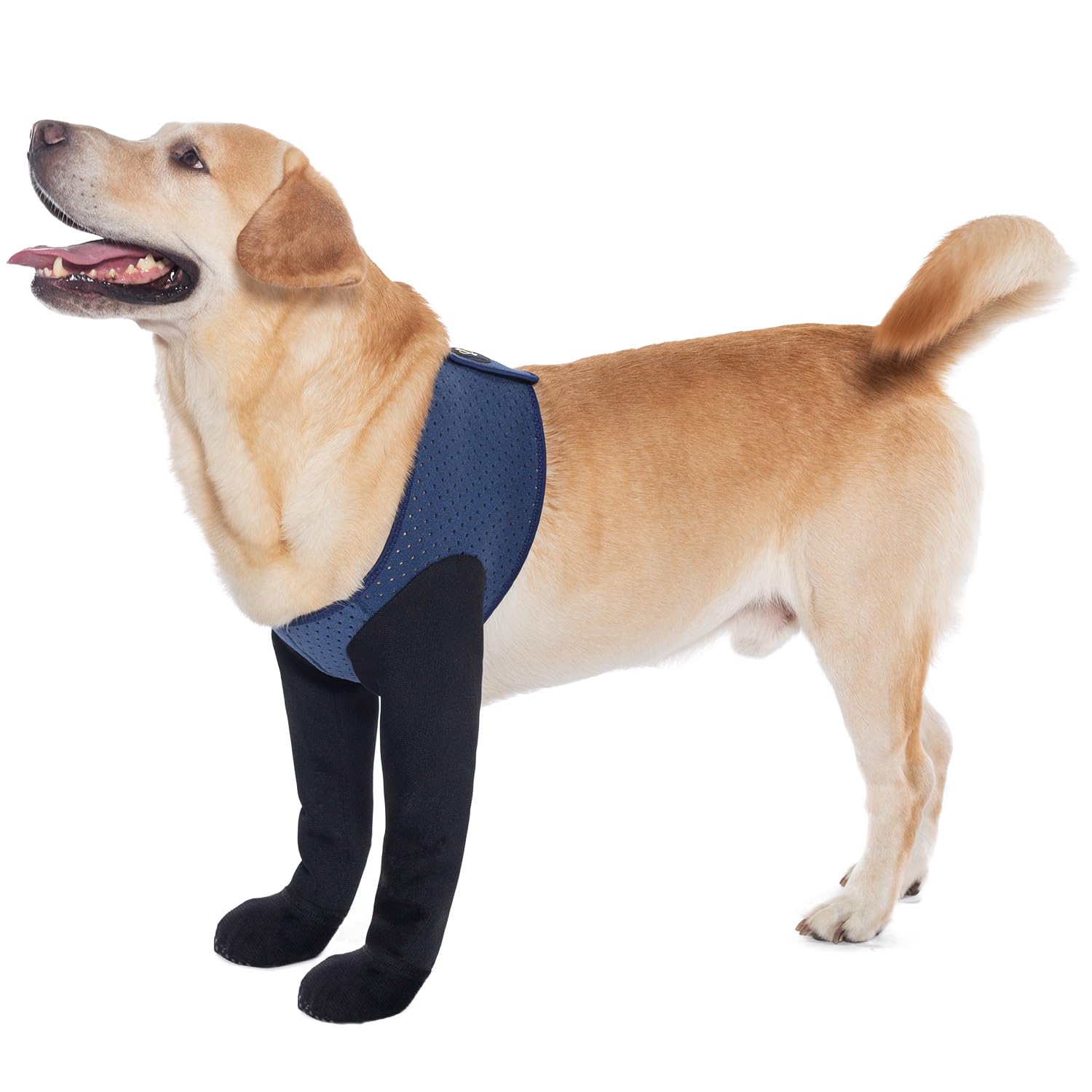 COODEO Dog Socks to Prevent Licking Paws, Dog Healing Boots & Paw Protectors with Non-Slip Bottoms to Protect Wounds, Waterproof