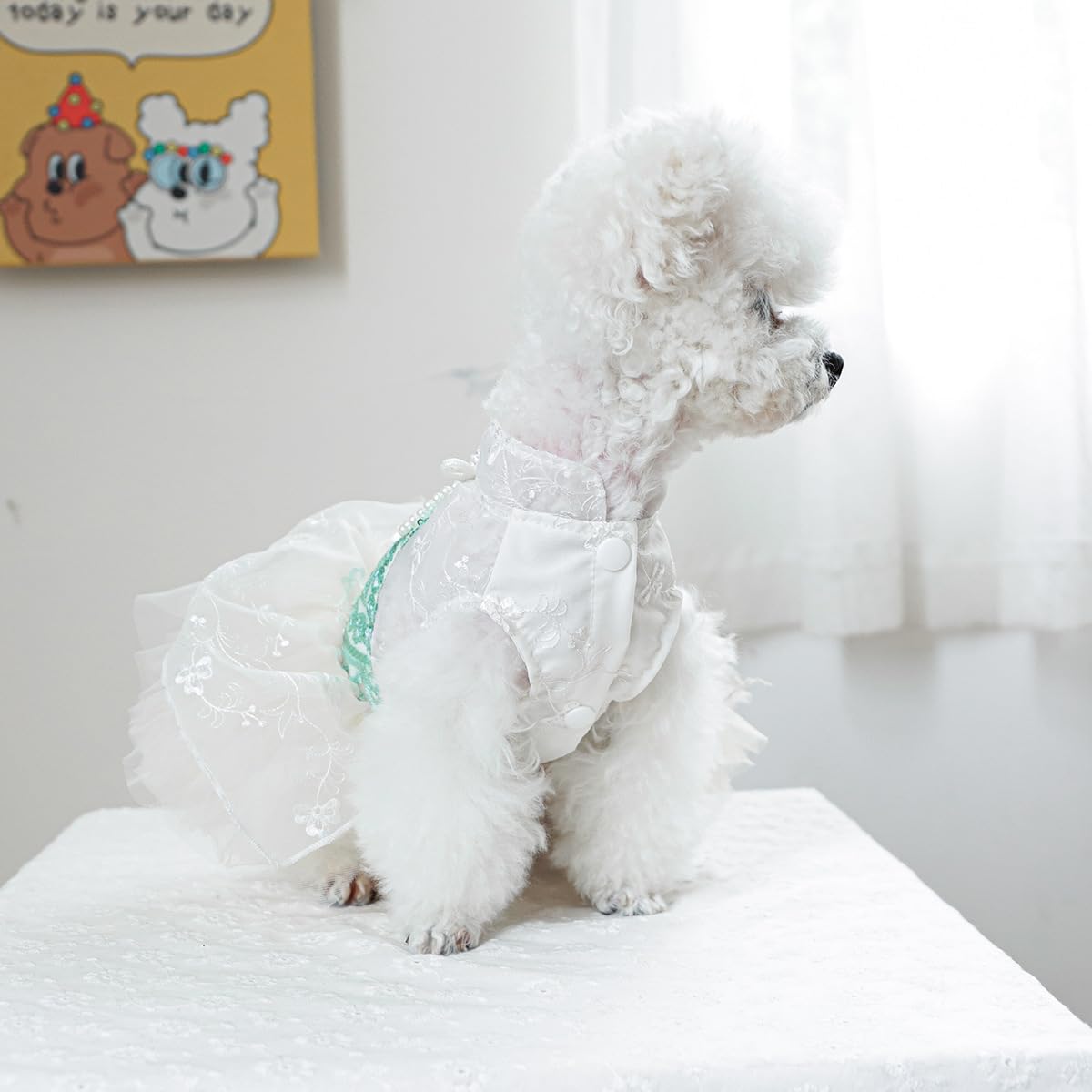 Marupet Fashion Sweet Puppy Dog Blingbling Princess Skirt Pet Dog Lace Cake Camisole Tutu Dress C-Green S