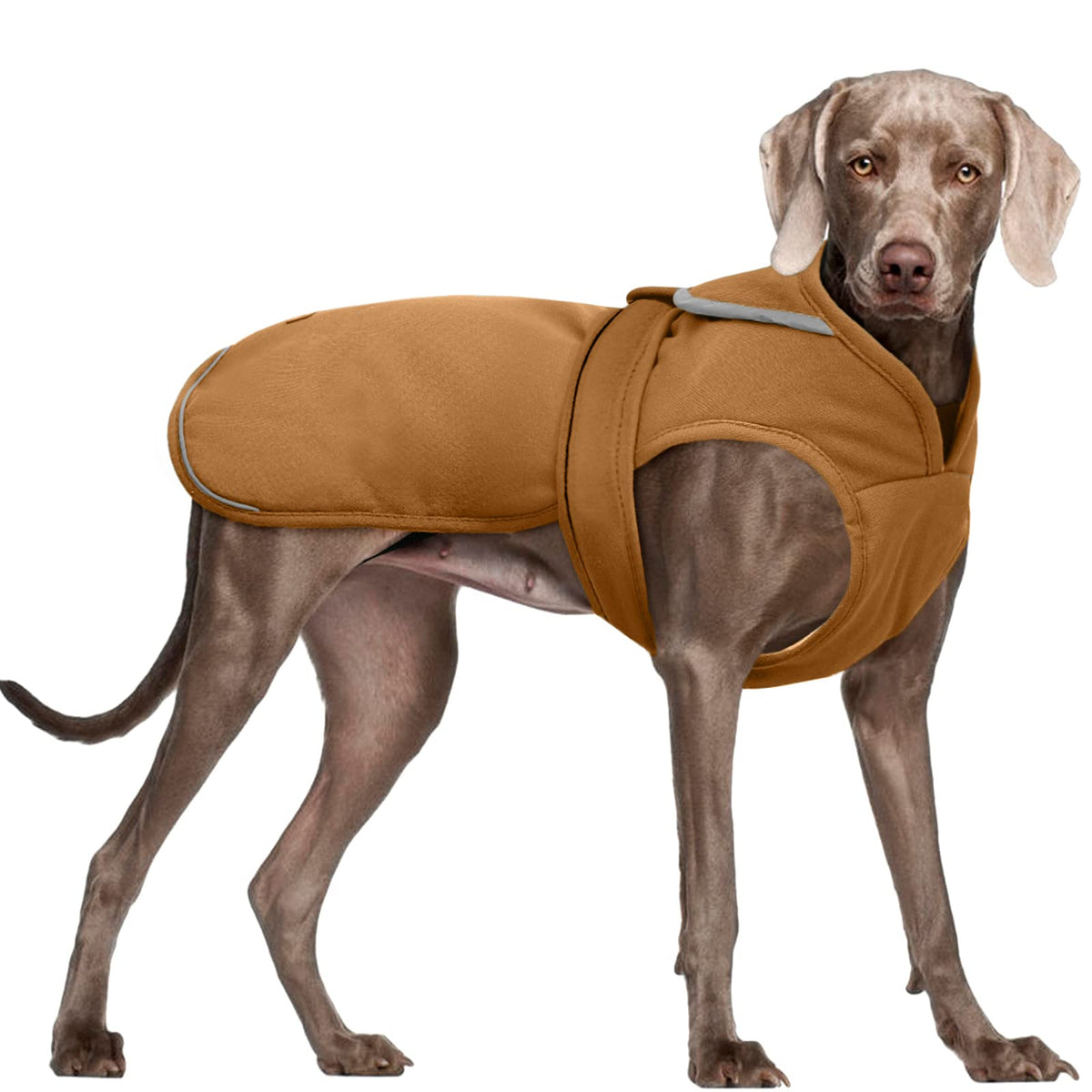 Kuoser Canvas Dog Winter Coat, Warm Dog Jacket Reflective Fleece Dog Cold Weather Coat Warm Doggie Clothes Waterproof Dog Vest W