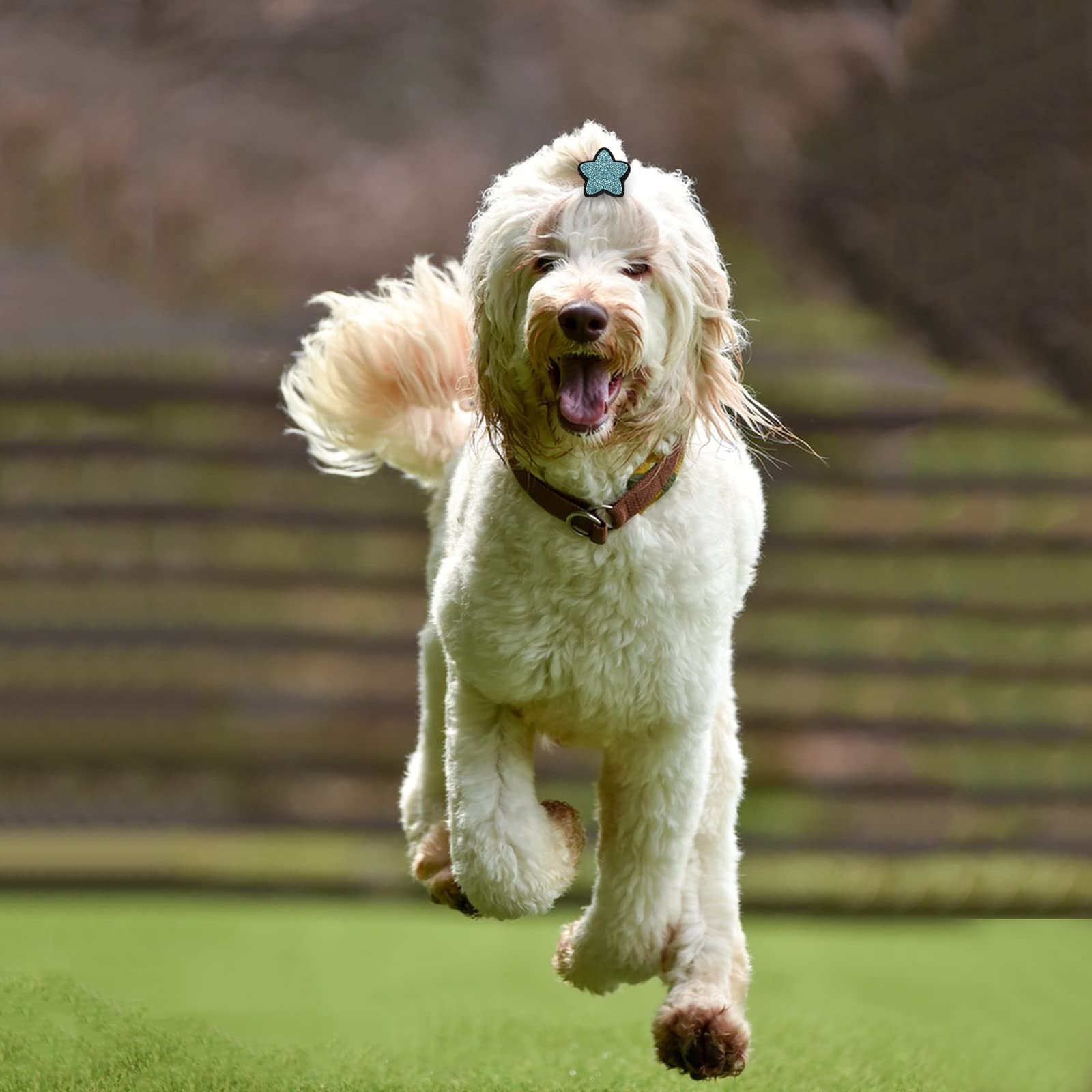 10 Pcs Dog Hair Clips Small Dog Hair Bows Cute Dog Hair Grooming Accessories Girls Puppies Hair Barrettes Flower Crown Hairpin Cat Topknot Pet Headdress Dog Grooming Bowknot For Kitten Pet Small Dog