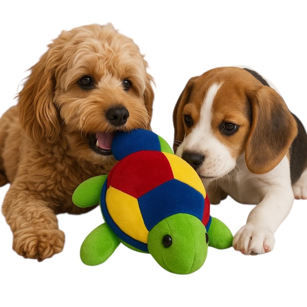 WAGGYTAILS Premium Squeaky Soft Turtle Toy for Dogs (Made in U.S.A)  Plush Chew Toy with Colorful Design | PetSafe, Interactiv