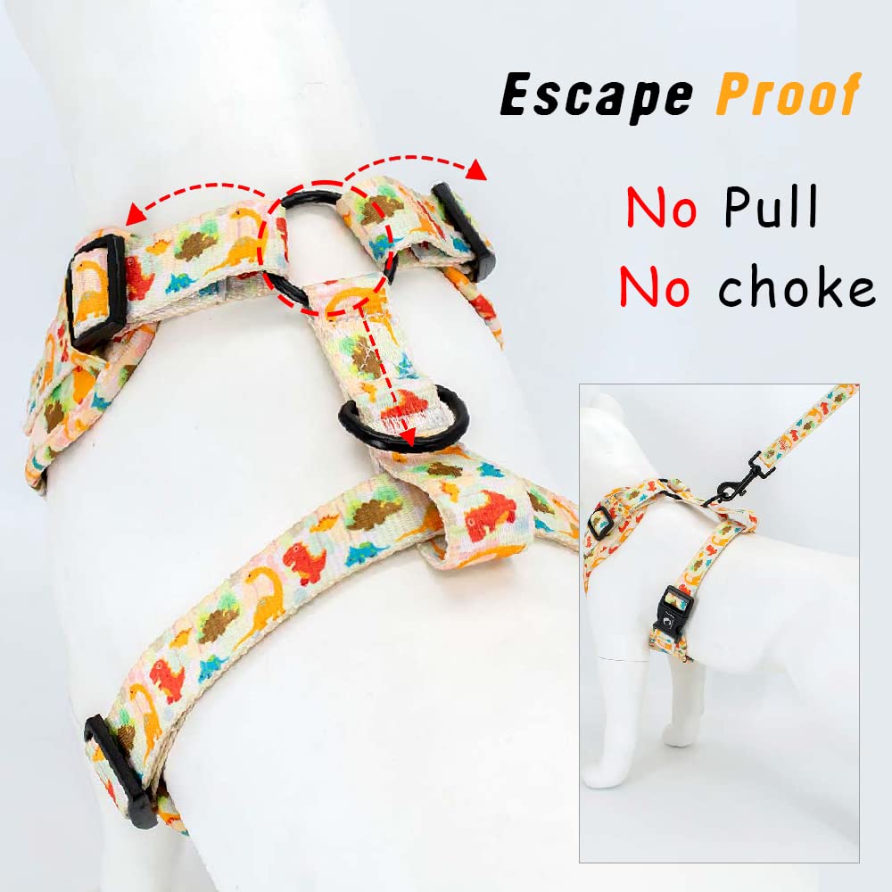 Adjustable Dog Harness and Leash Set for Girl Air Mesh Dog Vest Harness 5Ft Dog Training Leash with Soft Handle Pet Escape Proof