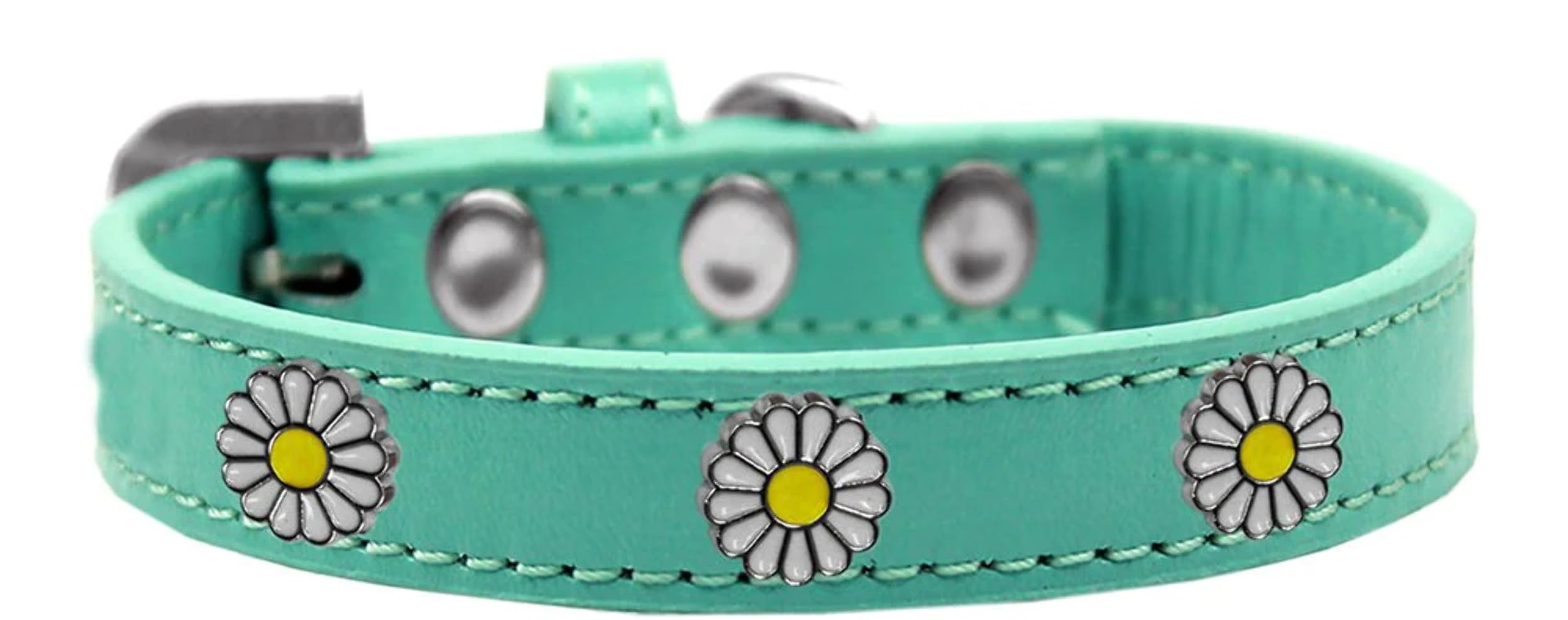 Dog, Puppy and Pet Widget Fashion Collar, &quot;White Daisies&quot; Aqua 18