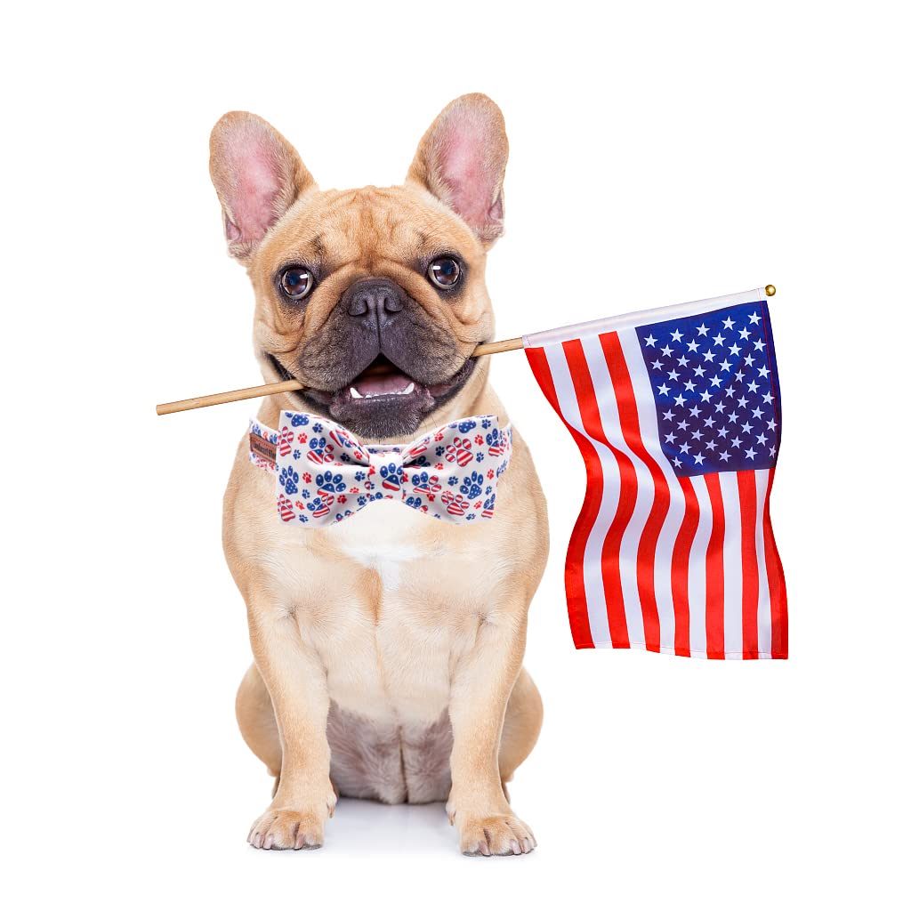 Lionheart American Flag Dog Collar With Bow - Adjustable For Medium Dogs