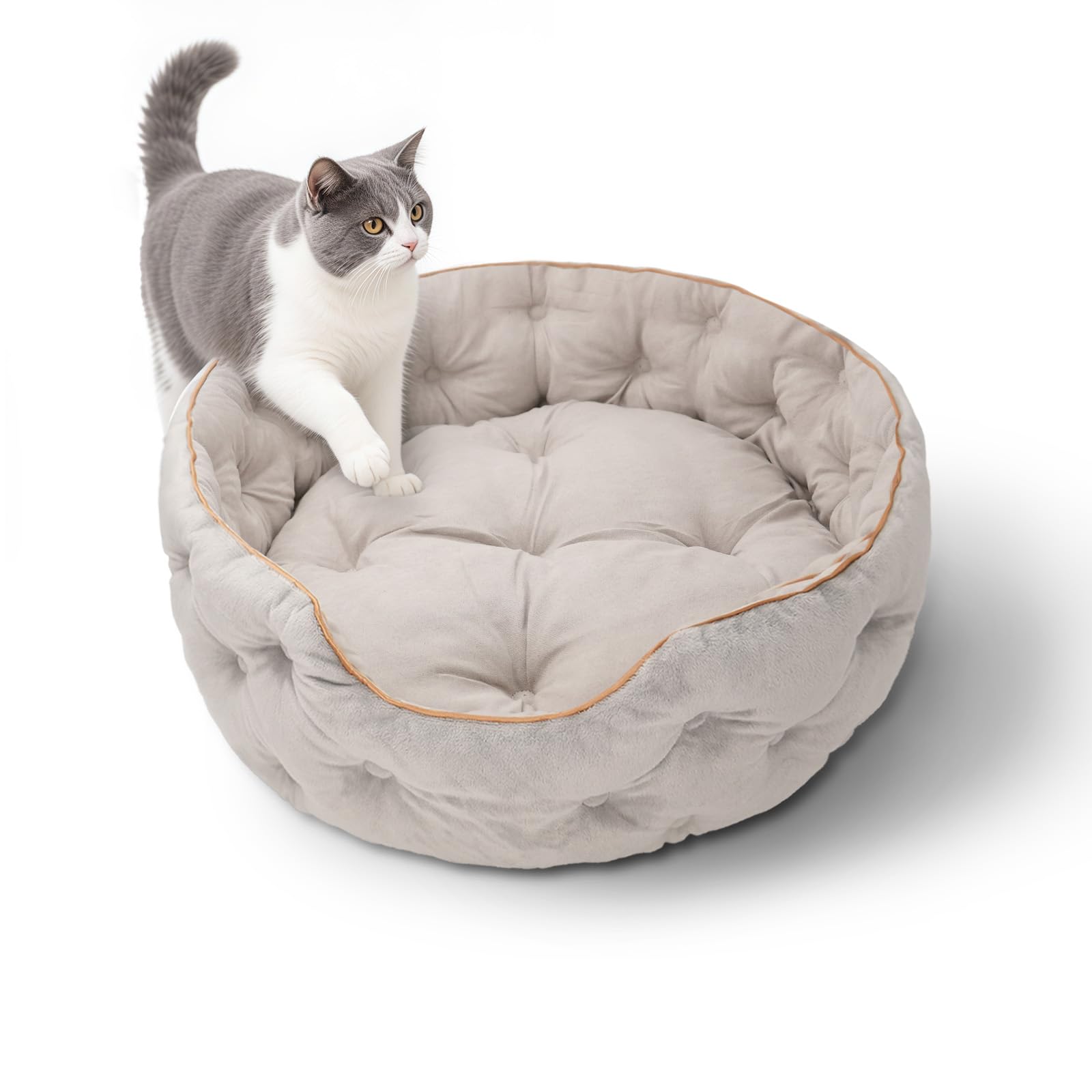 MOYMO Cute Cat Beds Kitten Beds,Small Dog Beds, Washable Pet Beds for Puppy and Kitty, 20 Inch