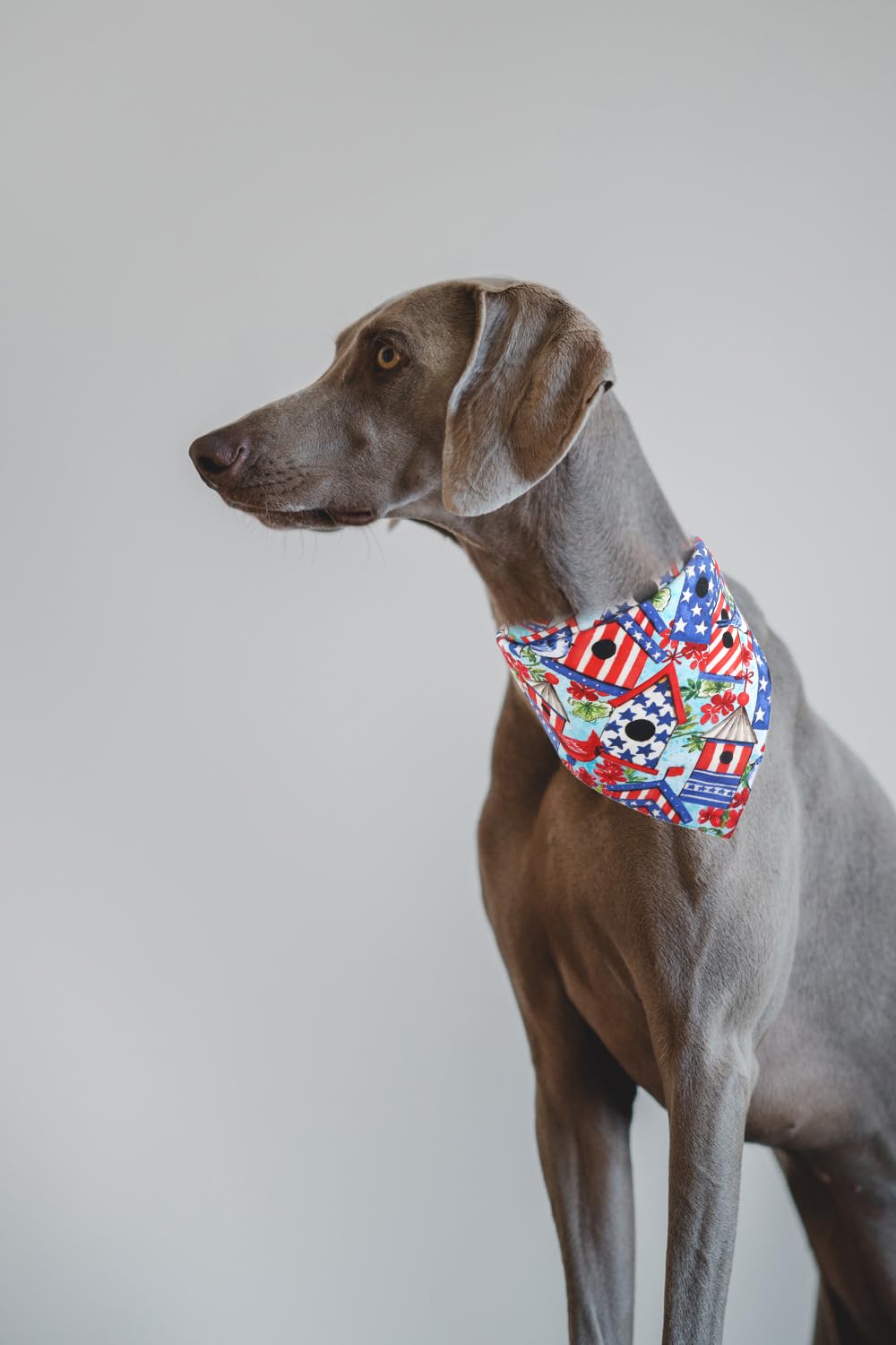 American Flag Dog Bandana 7Th Of July Pet Clothes Patriotic Reversible Triangle Bibs Scarf Accessories For Cats Animals