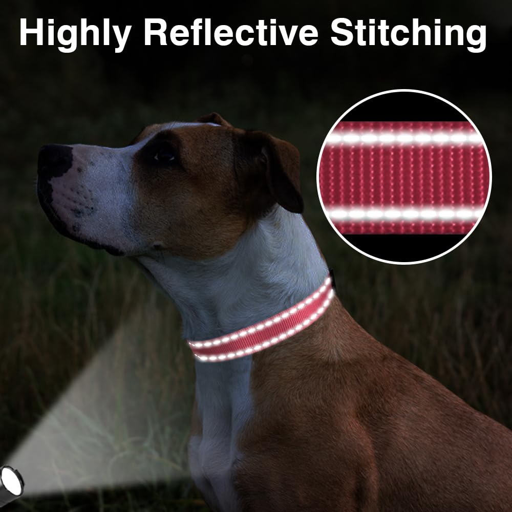 Taglory Reflective Adjustable Dog Collars For Puppy Small Medium Large Dogs, Thin Nylon Webbing And Quick Release Plastic Buckle(Noen Pink Medium)