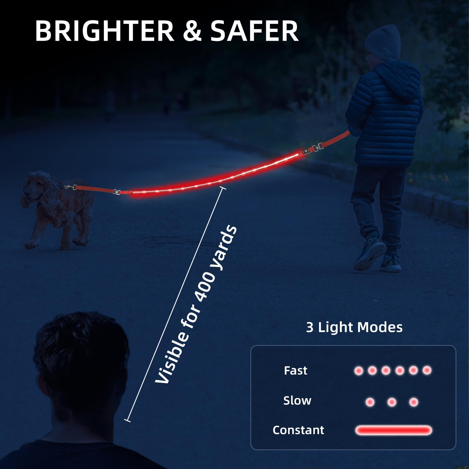 Petisay Light Up Dog Leash For Night Walking - Usb-C Rechargeable, Waterproof - 6Ft(Red)
