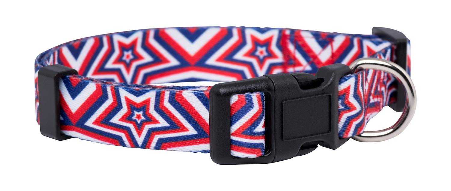 Native Pup Halloween Dog Collar (Small, Ghosts)