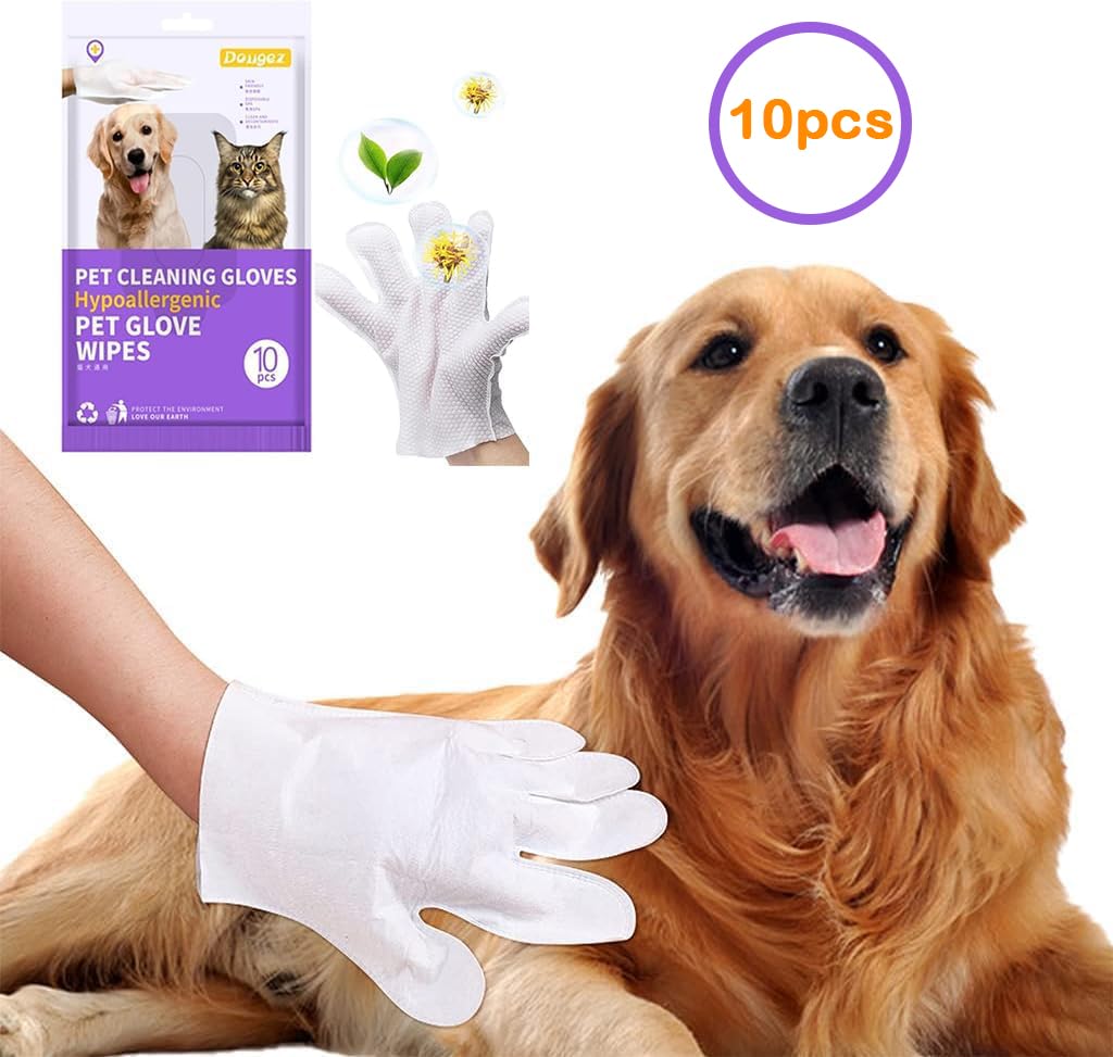 Carpet Rake For Pet Hair Removal | 5-Piece Set With 10 Disposable Cleaning Gloves, Long & Short Handles, Lint Rollers & Scraper