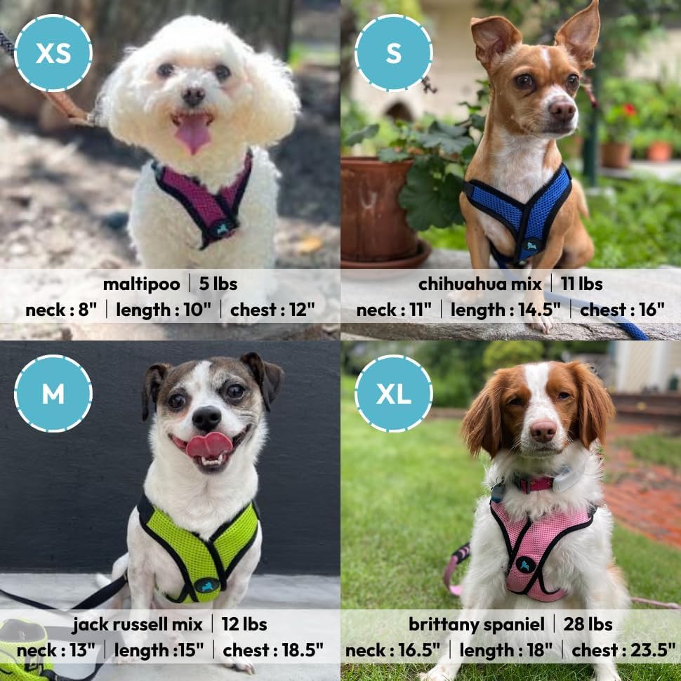 Gooby Comfort X Step In Lite Dog Harness - Choke Free, Escape Free With Light Breathable Mesh - Dog Harness For Small And Medium