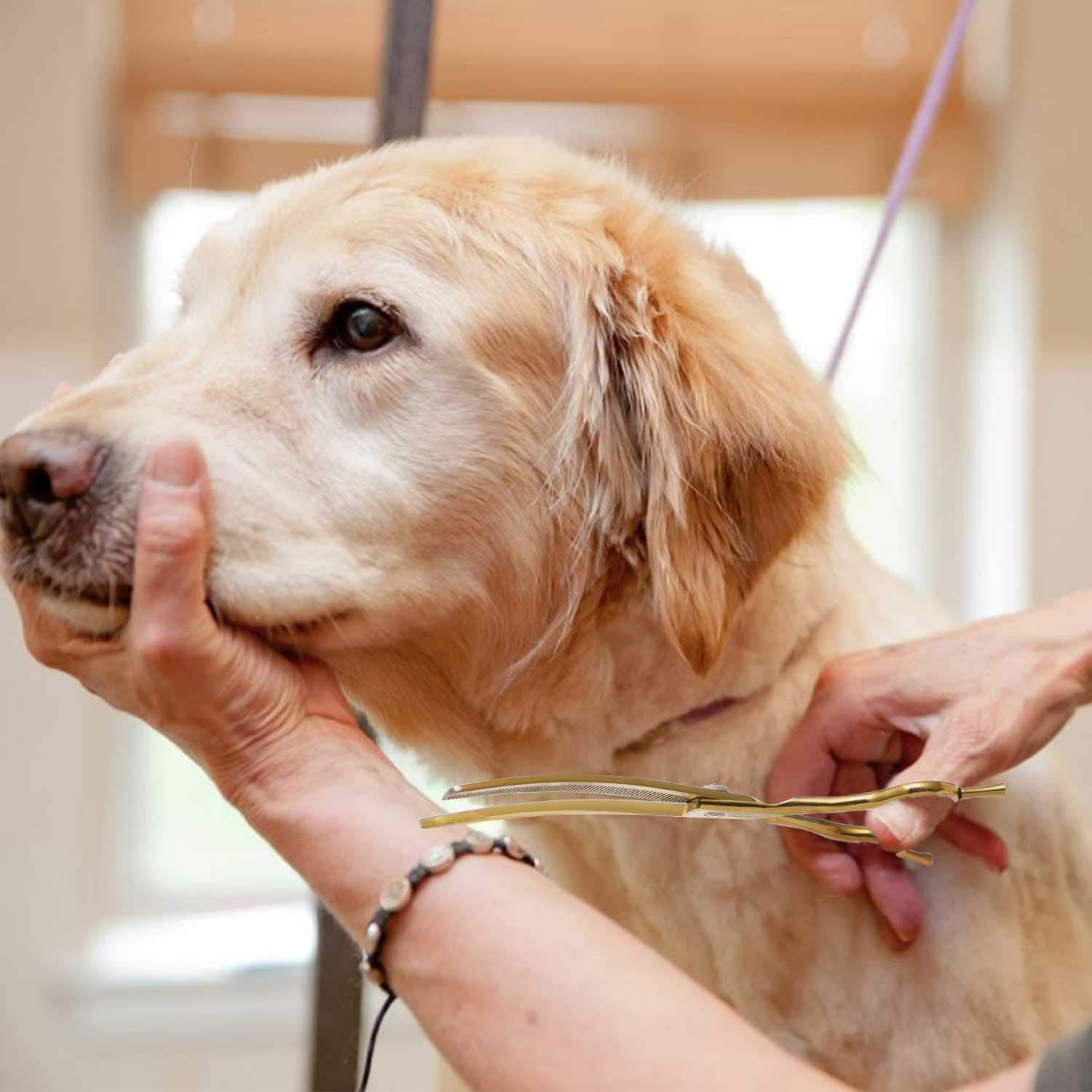 Purplebird 7 Inch Downward Curved Dog Grooming Scissors Thinning Texturizing Shears Professional Safety Blunt Tip Trimming Shearing For Dogs Cats Face Paws Limbs Japanese Stainless Steel Yellow