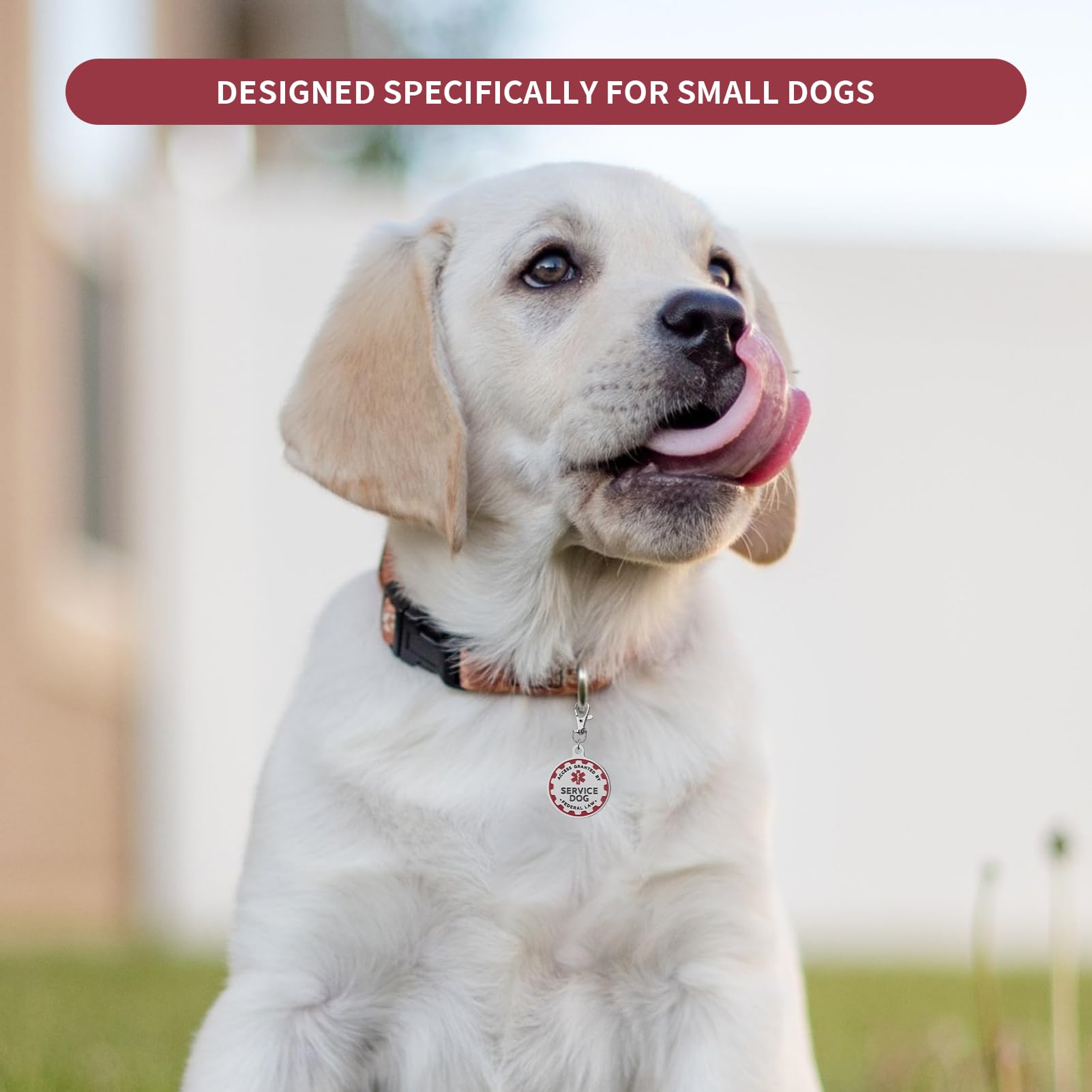 Service Dog Tag Industrial Puppy For Service Animals, Emotional Support Dogs & Therapy Dogs Entirely Surgical Stainless Steel Ea