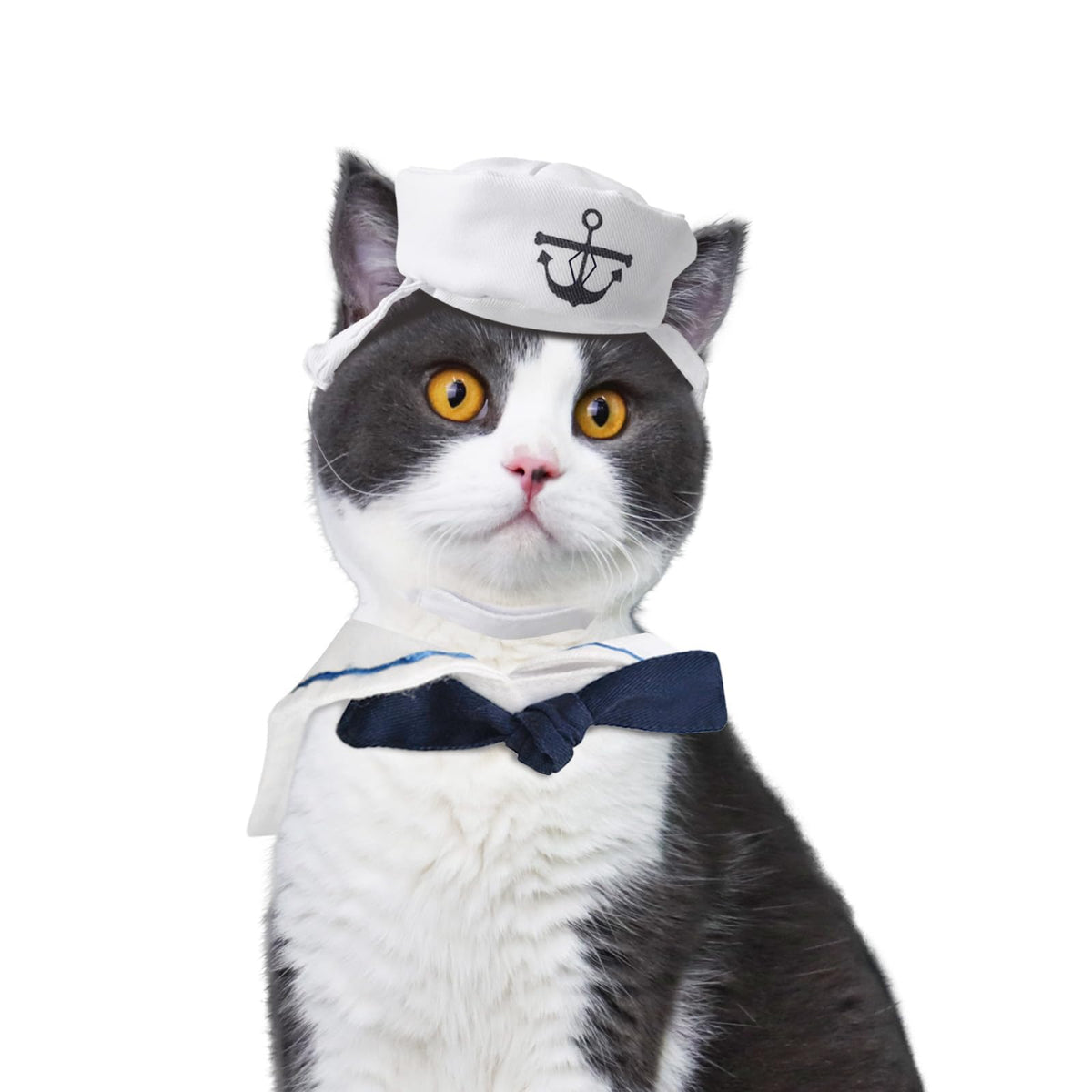 Enjoying Cat Halloween Costumes Cat Sailor Costume Small Dog Navy Outfit With Tie Adjustable Captain Kitten Halloween Costume