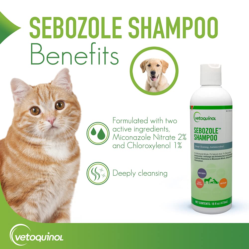 Vetoquinol Sebozole Pet Shampoo With Miconazole Nitrate 2% And Chloroxylenol 1%, 16Oz