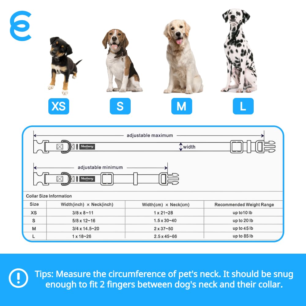 Blueberry Pet Essentials Small Dog Collar | Girl Dog Collars Fall | Female Dog Collar Small | Fuchsia Pink Dog Collars For Small