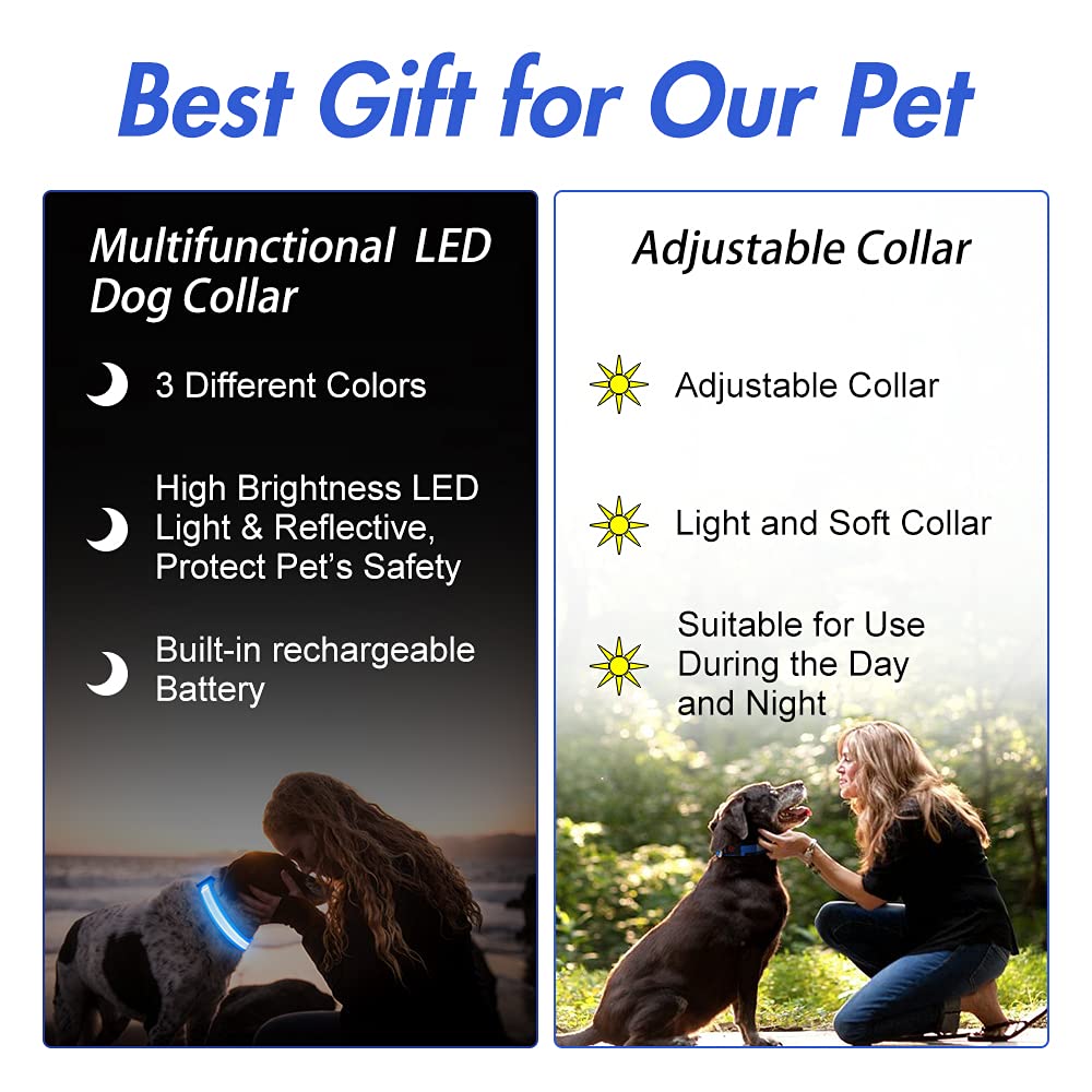 Yfbrite Ultra Light Usb Rechargeable Led Dog Collar - Adjustable Light Up Dog Collar - Waterproof Dog Collar - Flashing Dog Collar Visiblity & Safety For Your Dogs (Blue, Small)