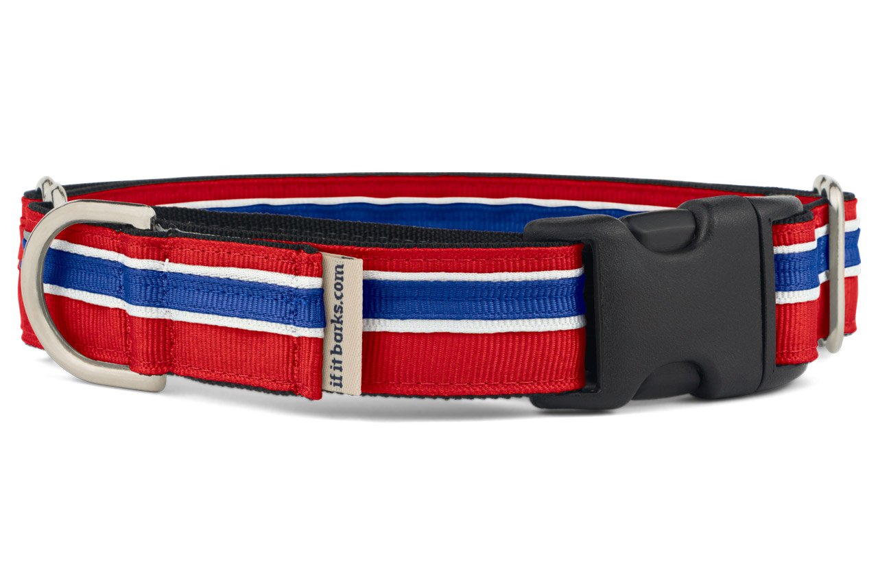 If It Barks 1'' Martingale Collar With Quick Snap Release Buckle, Adjustable, Usa Made, Small, Patriotic