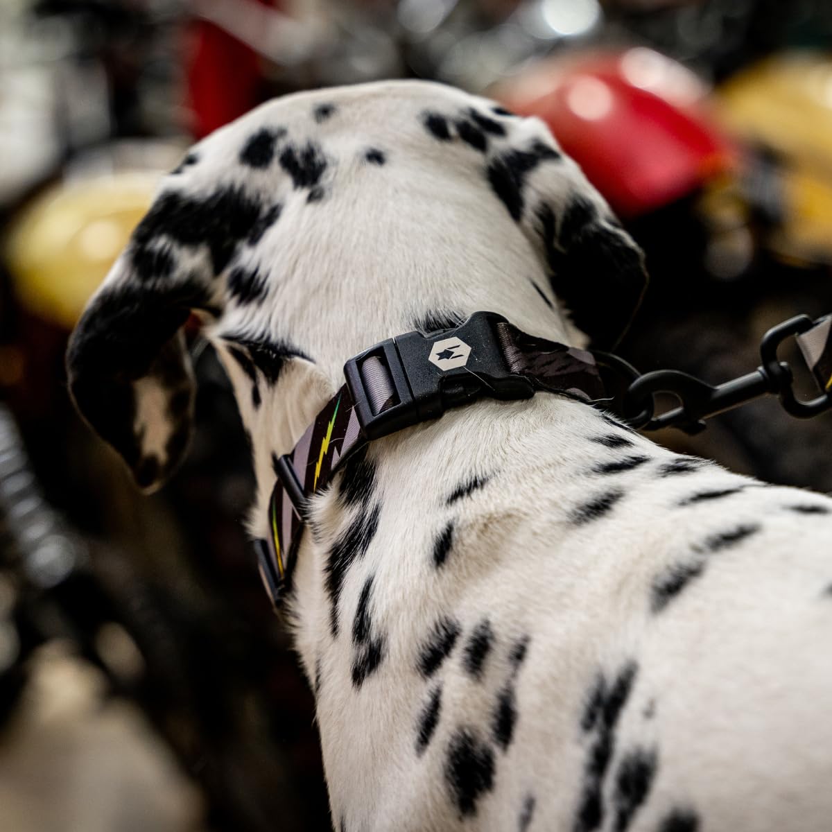 Wolfgang Heavy Duty, Adjustable Dog Collar With Quick Release Nylon Buckle For Walking & Training, Darkskies Print, Small